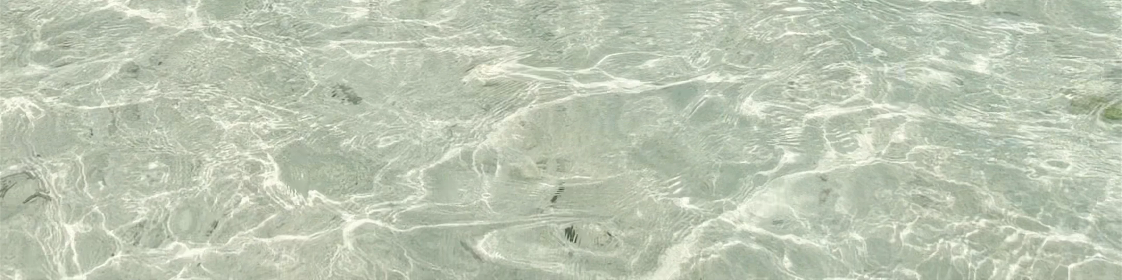 Thoddo beach