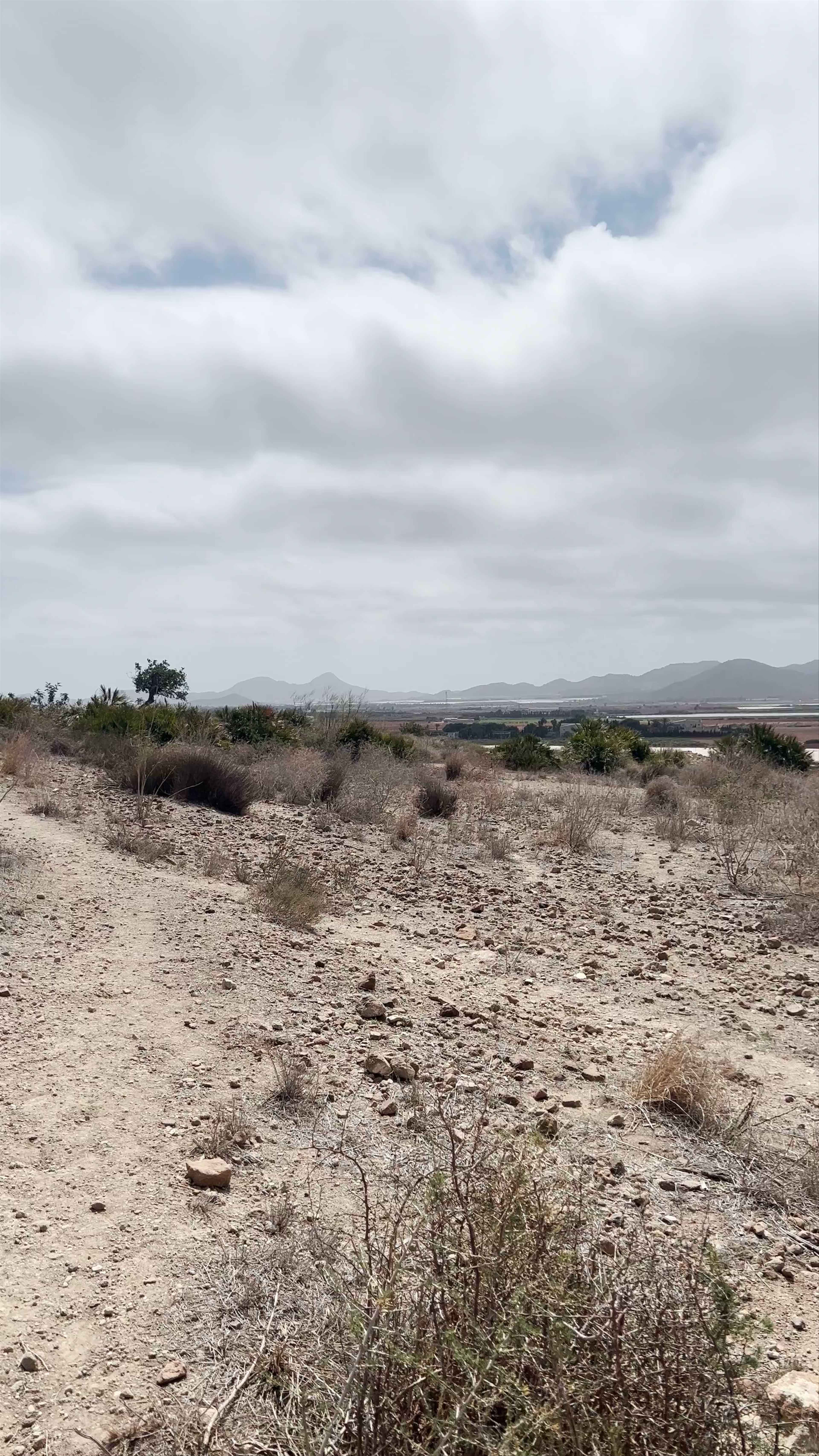 Scenic Desert Trail at Punto Geodésico Del Carmolí, Cartagena