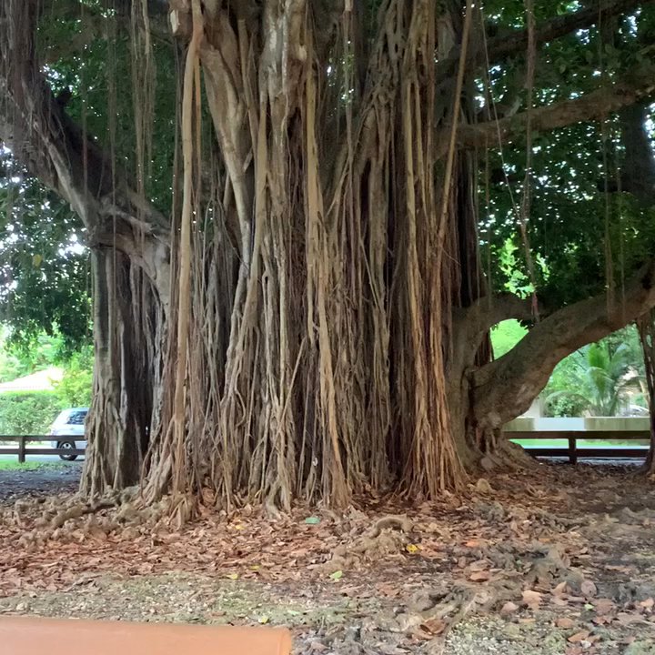 San Jacinto Park - Parks Near Me - Miami, Florida