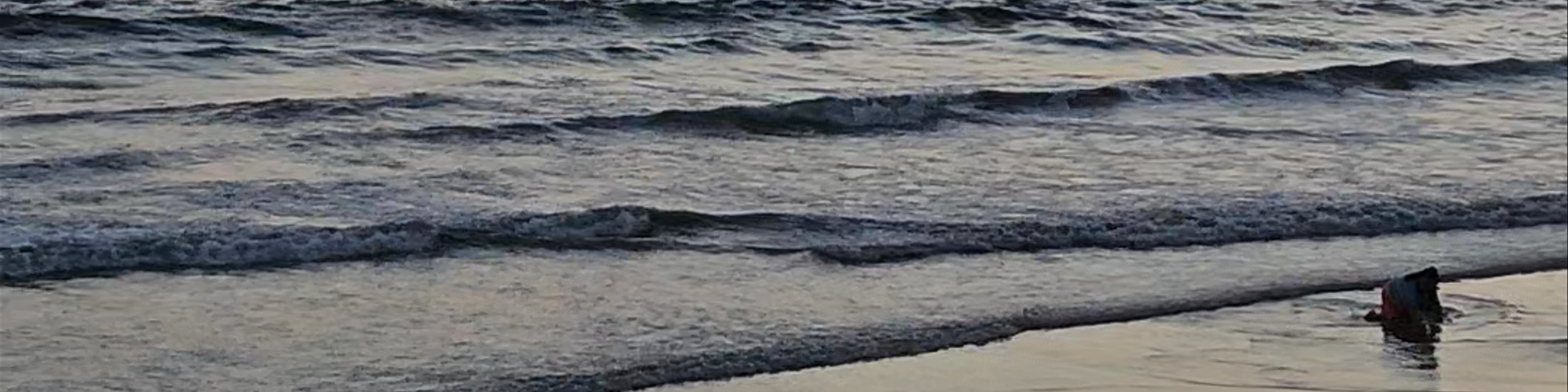 Puerto Villamil