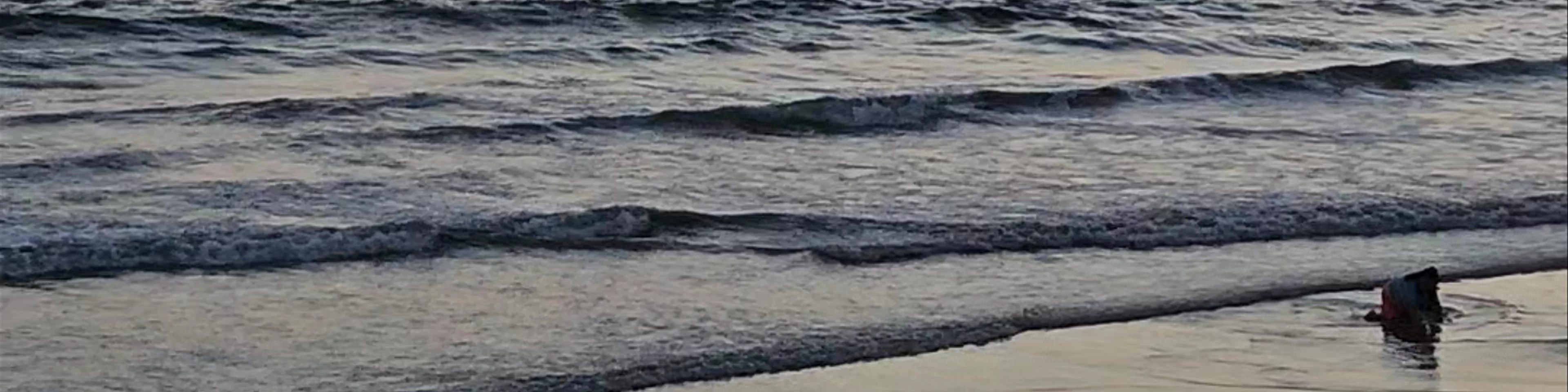 Puerto Villamil Beach