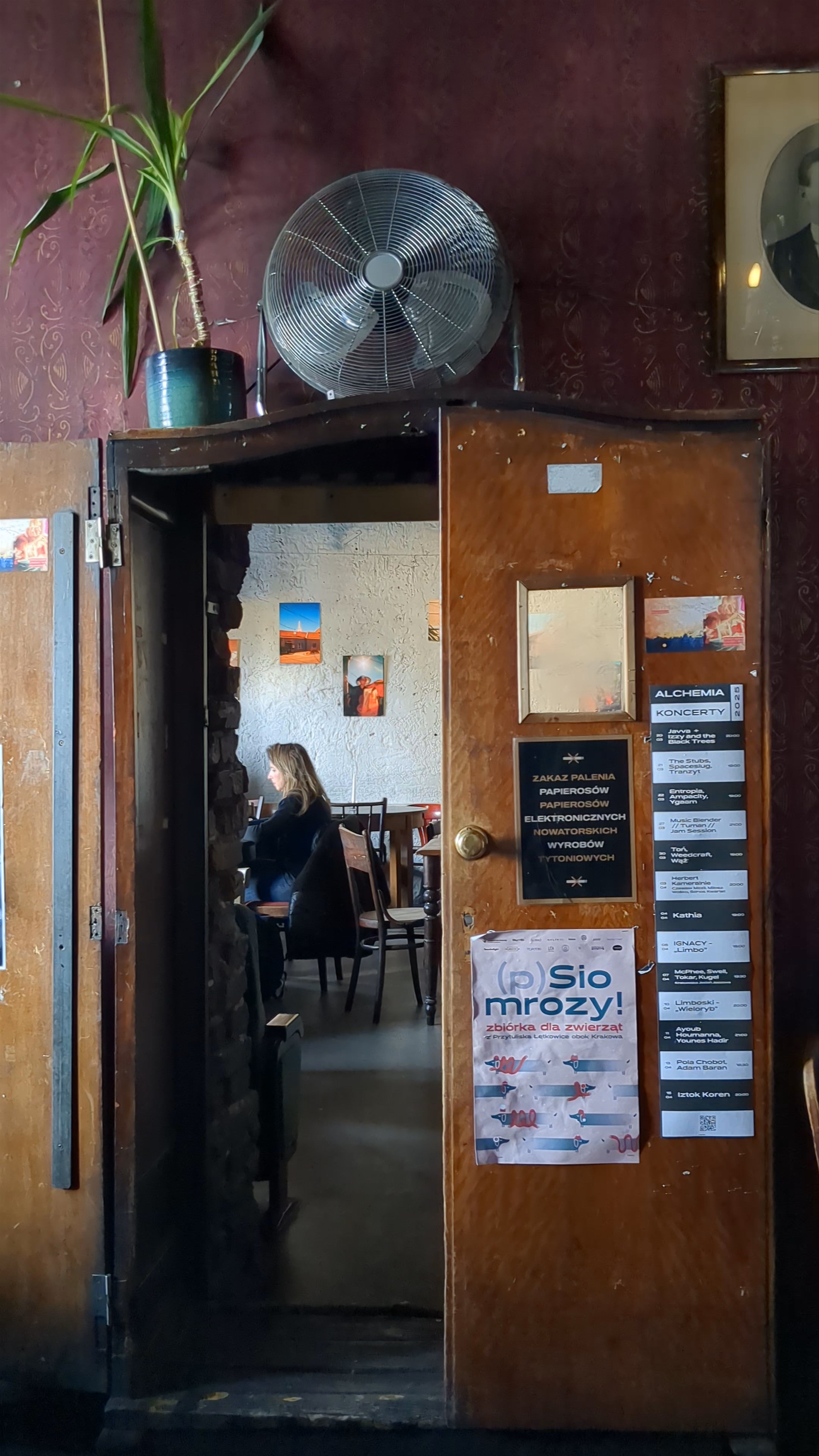 Alchemia Kraków: Vintage Vibes in a Historic Estery Bar