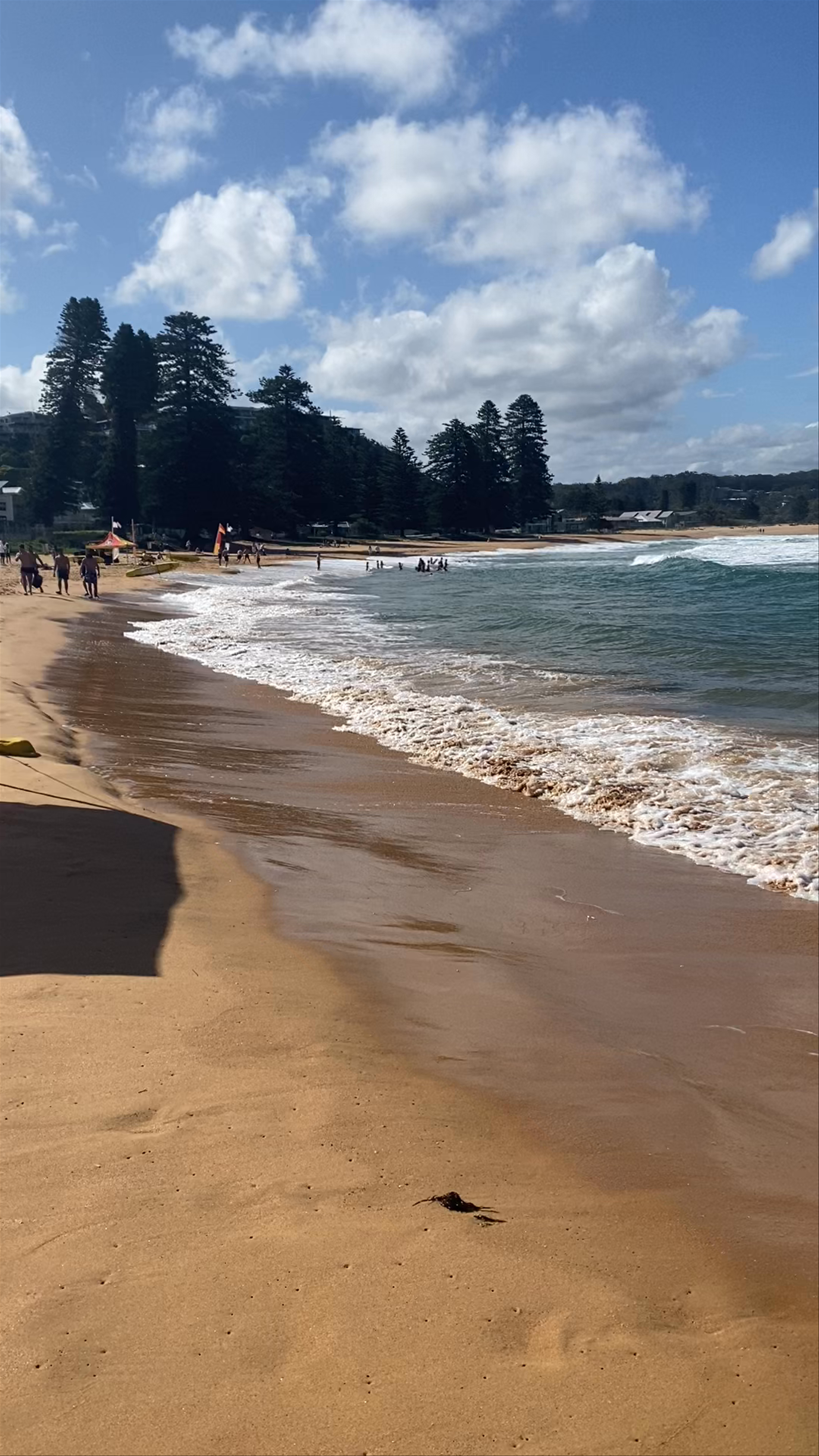 Avoca Beach Surf Life Saving Club: A Sunny Coastal Escape in New South Wales