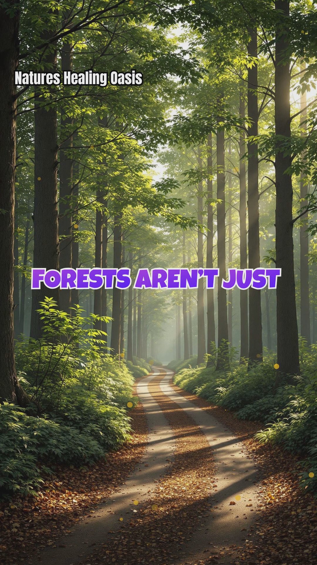 Sound Therapy in the Forest: How Trees Enhance Relaxation