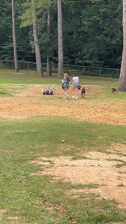 Tom Brown Park - Dog Parks Near Me - Tallahassee, Florida