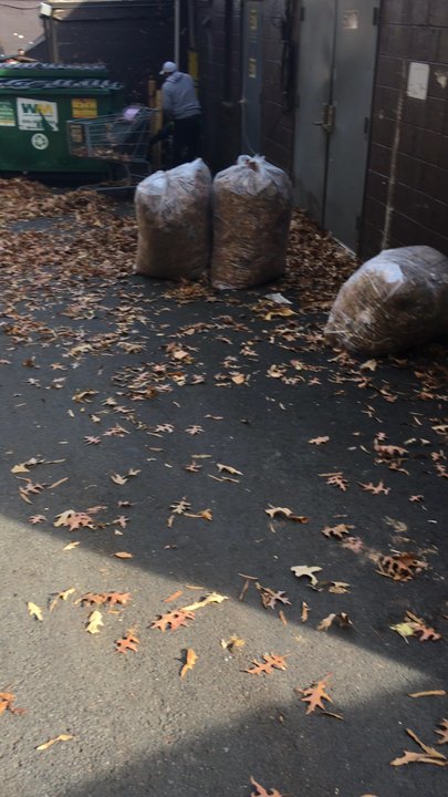 NY Corp Logistics - Leaves - Movers Near Me - Fairfax, Virginia