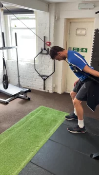 Single arm kickbacks