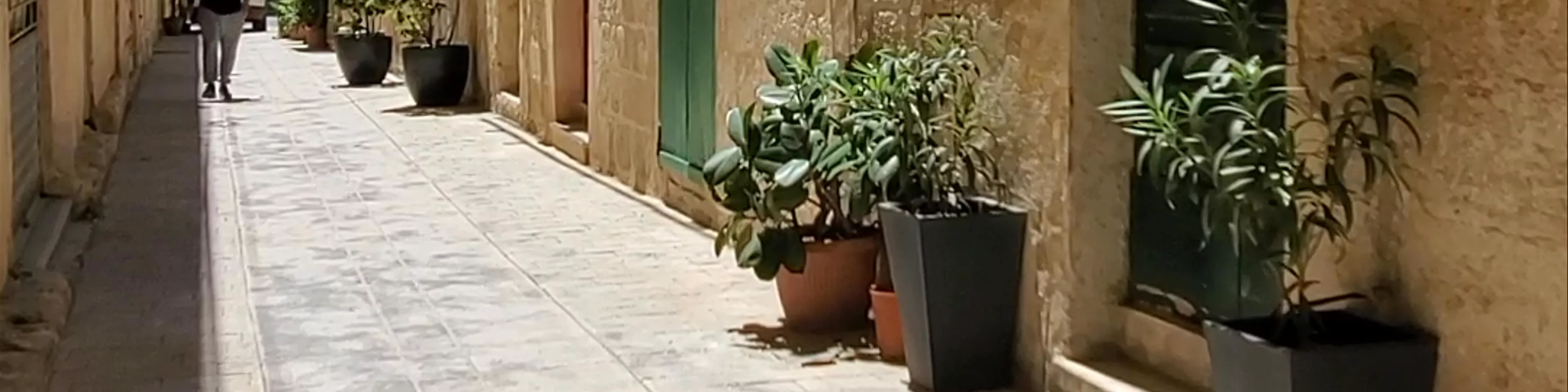 Mdina Cathedral