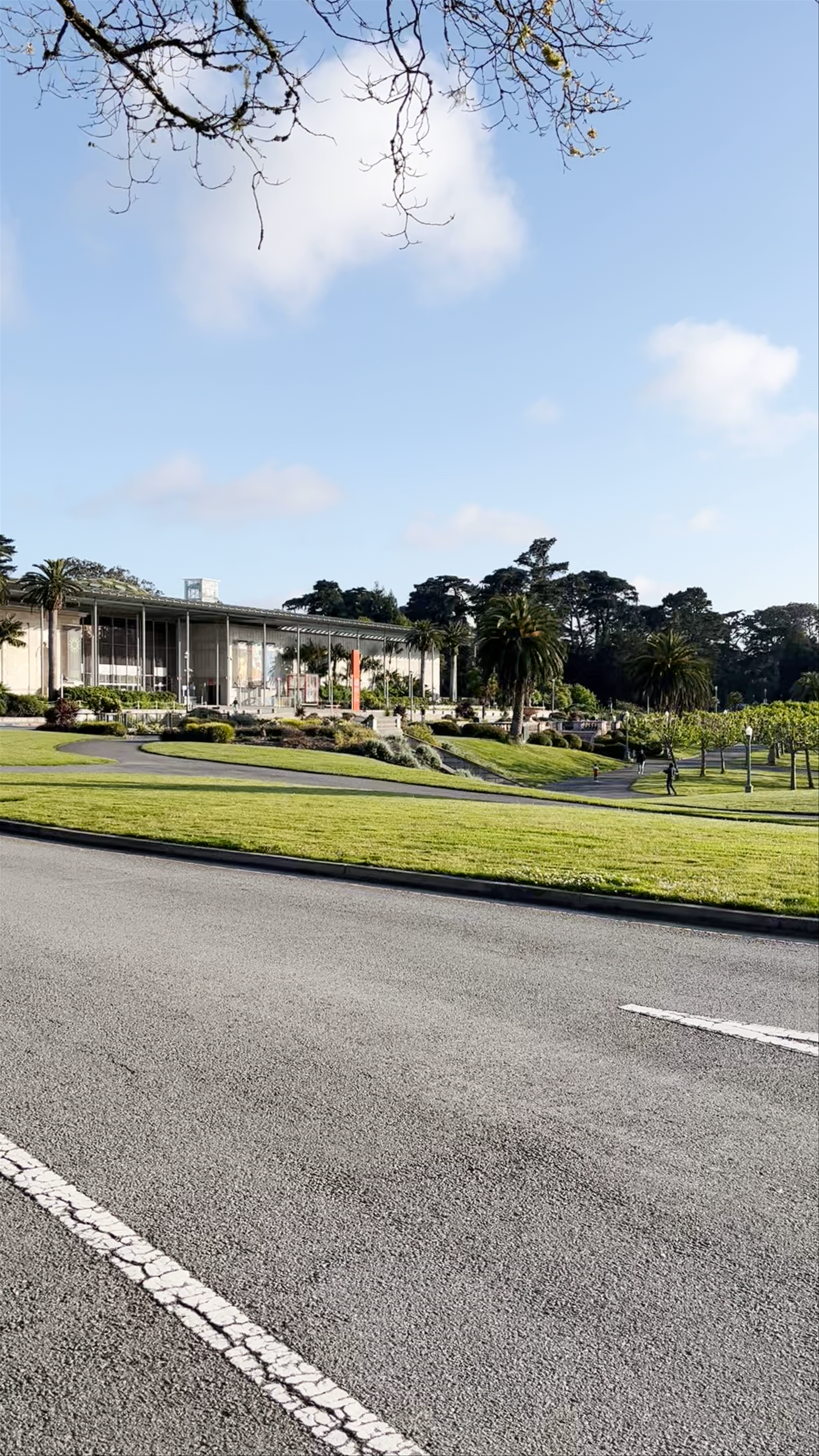 Golden Gate Park