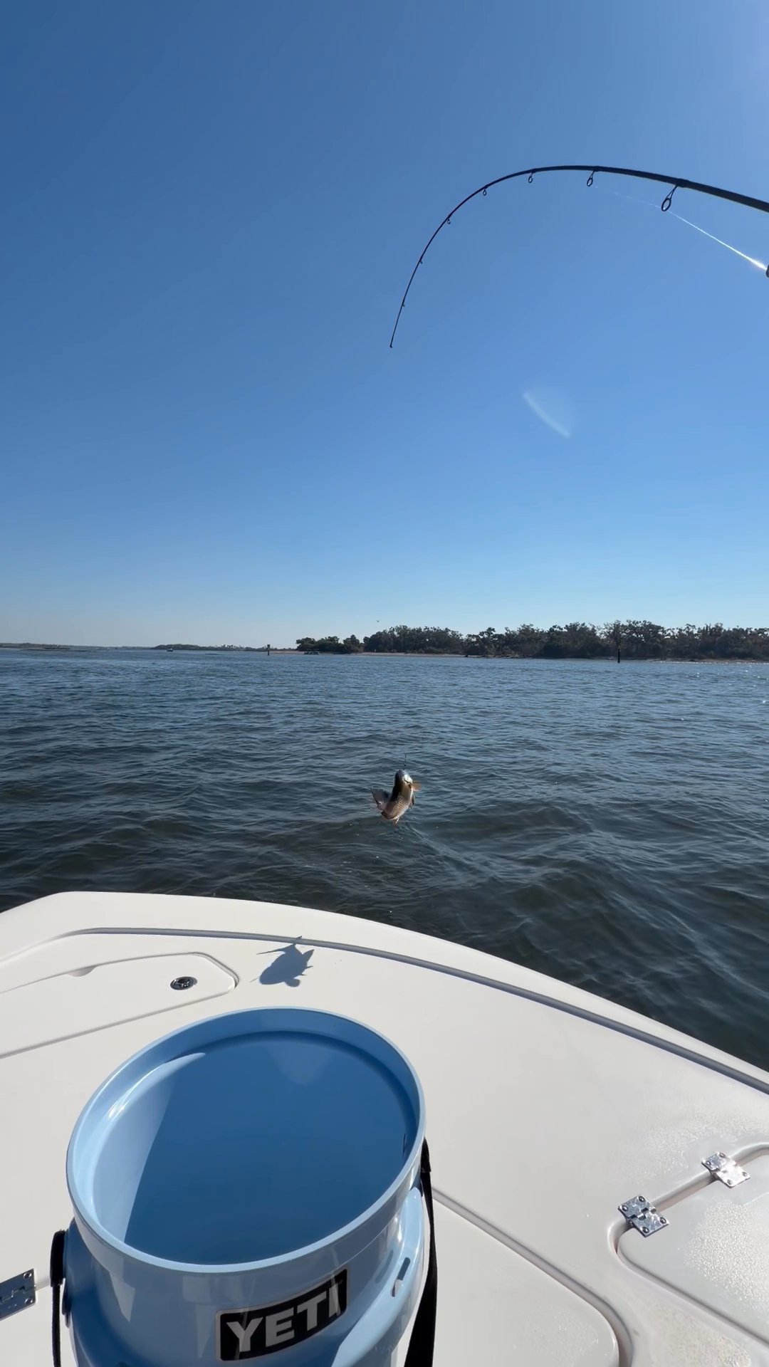 Crystal River winter Red fishing!