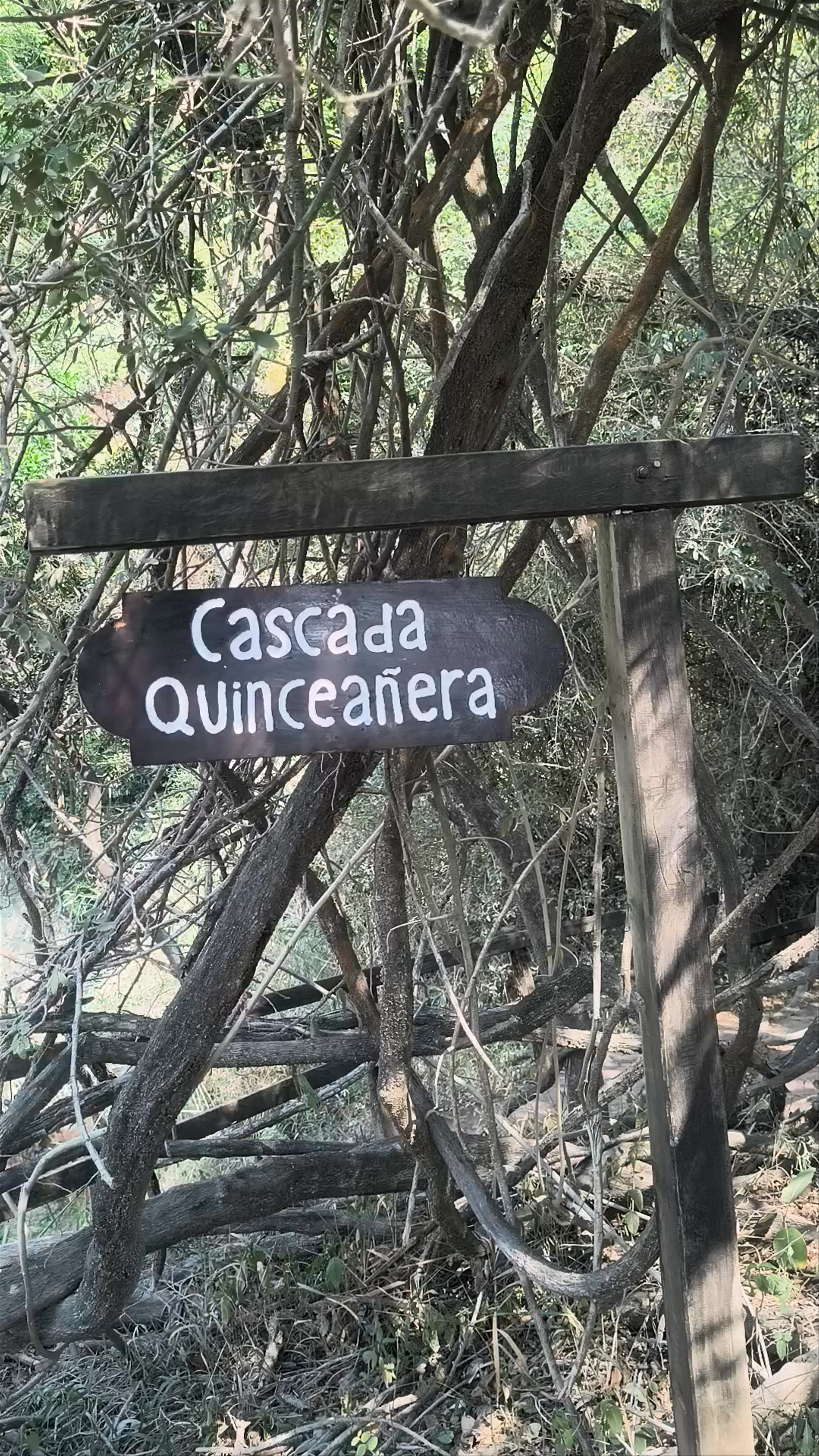 Cascada Quinceañera: A Hidden Waterfall Gem in Tzimol, Chiapas