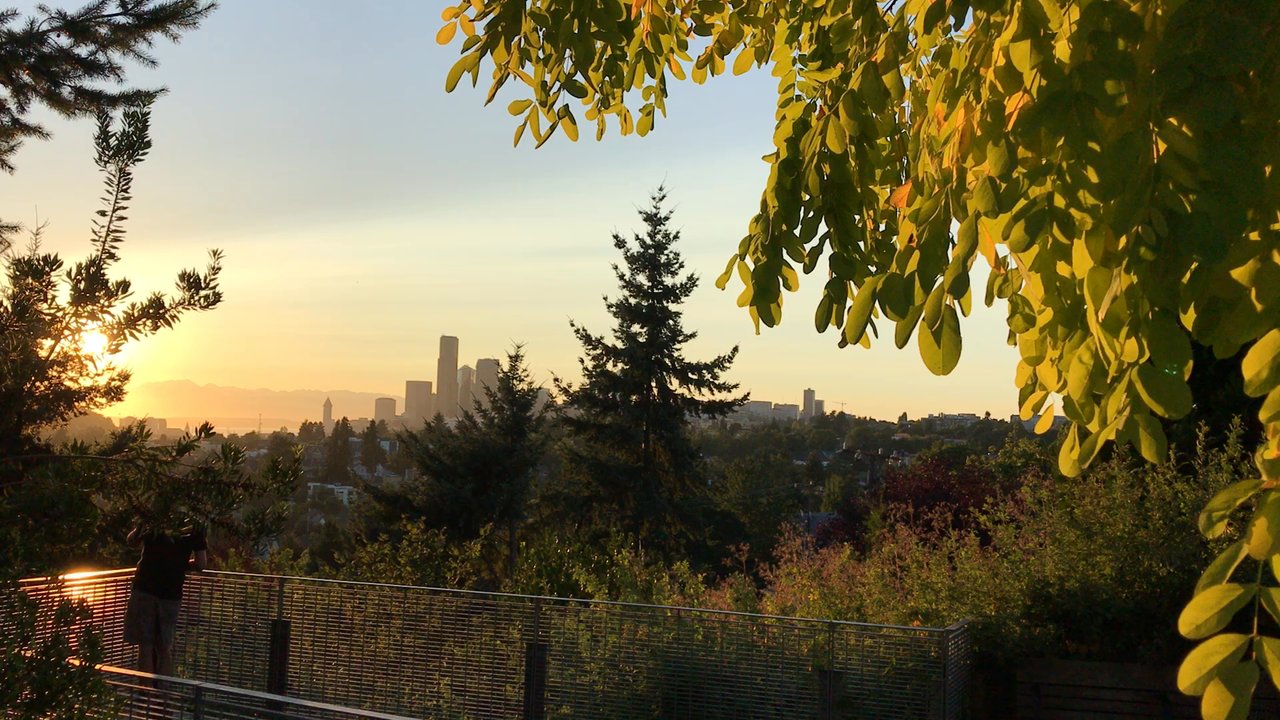 Mt. Baker Ridge Viewpoint - Peaceful breeze - Parks Near Me - Seattle, Washington