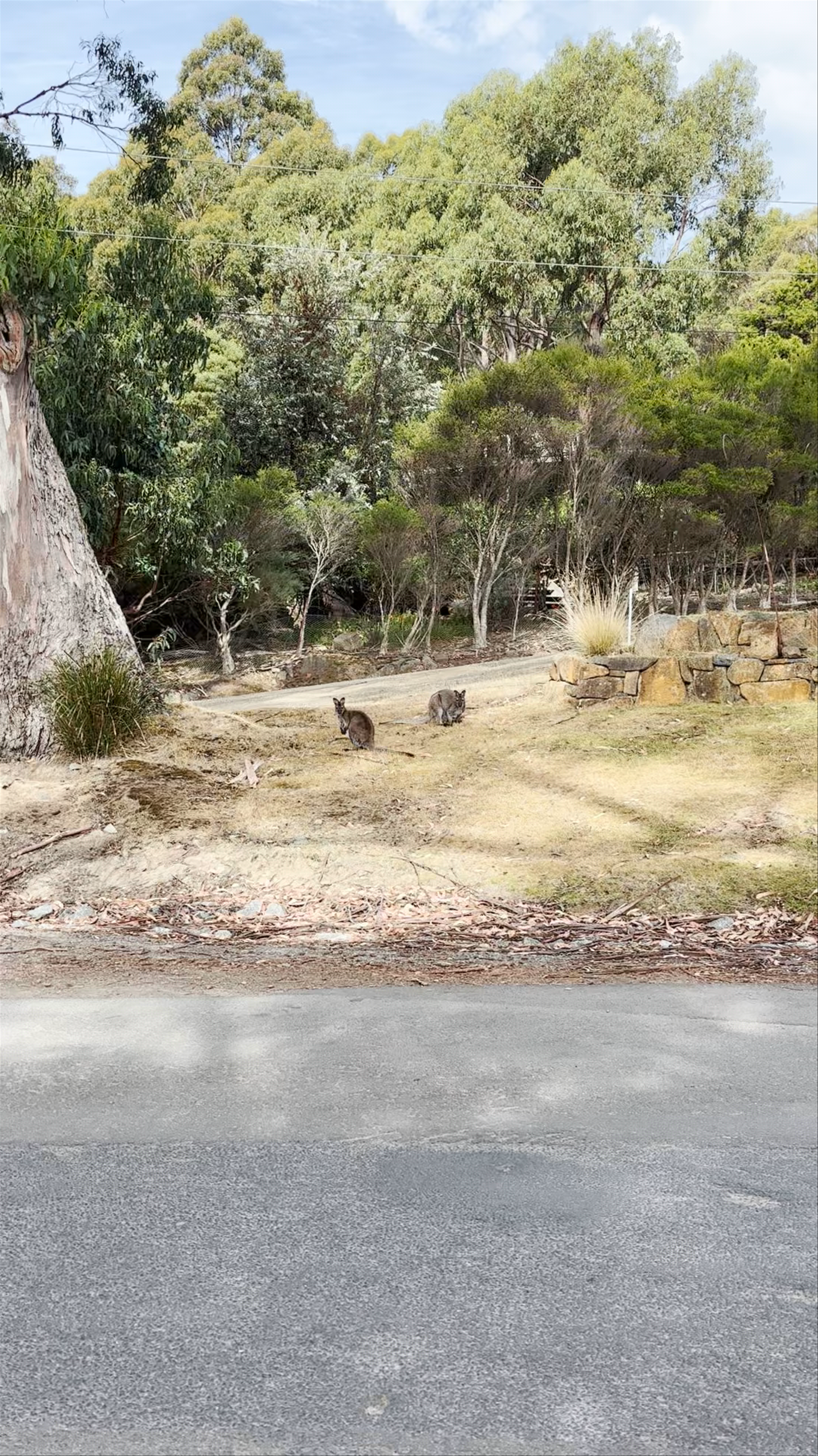 Bruny Island Cruises