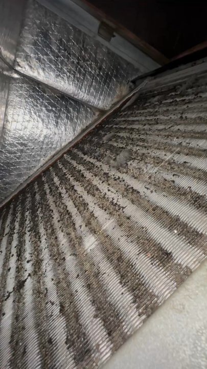 Island Boy Air - Heating & Air Conditioning/HVAC Near Me - Hutto, Texas