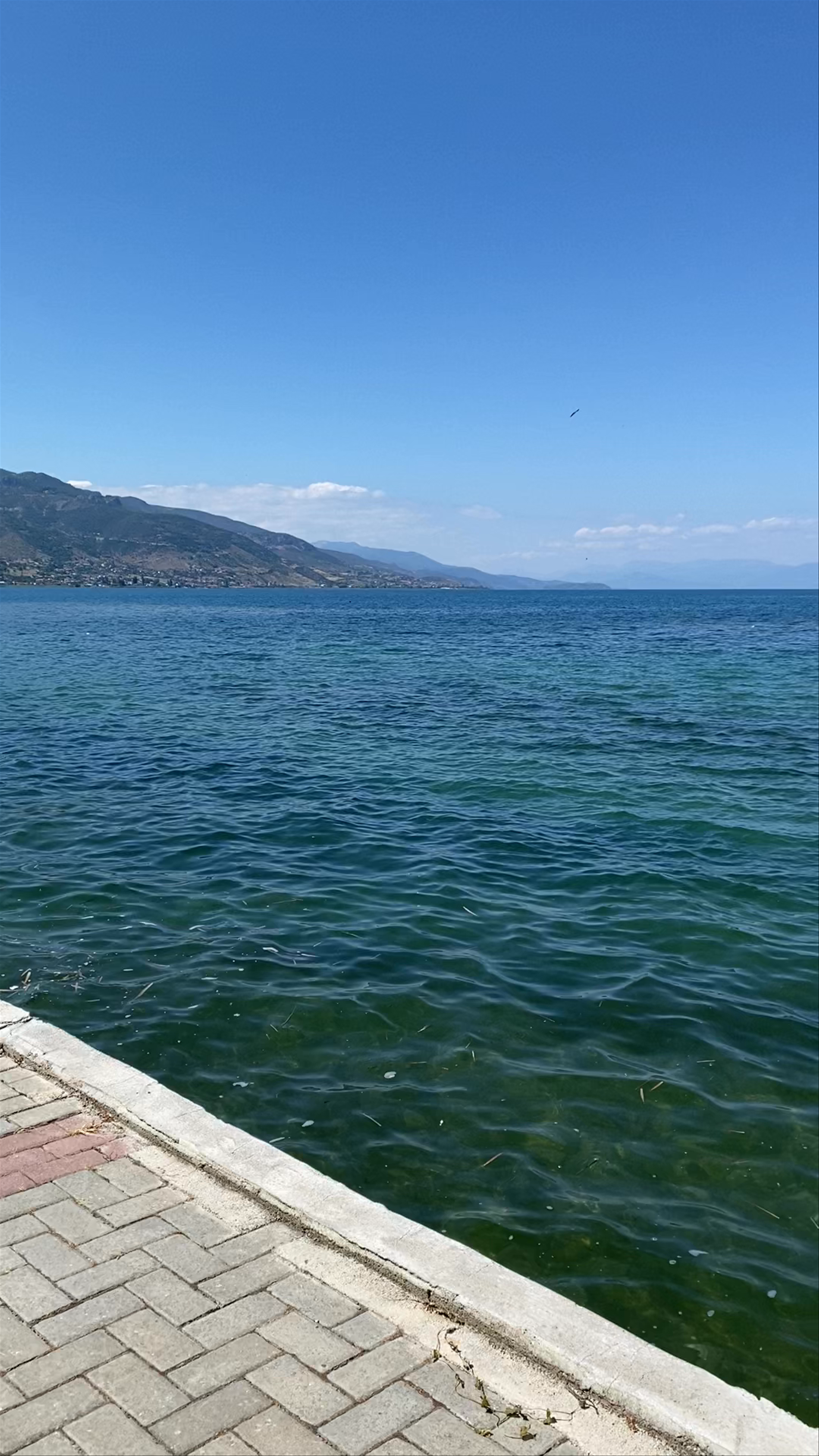 Ohrid Lake Cruises (Mato Catamarans Excursions)