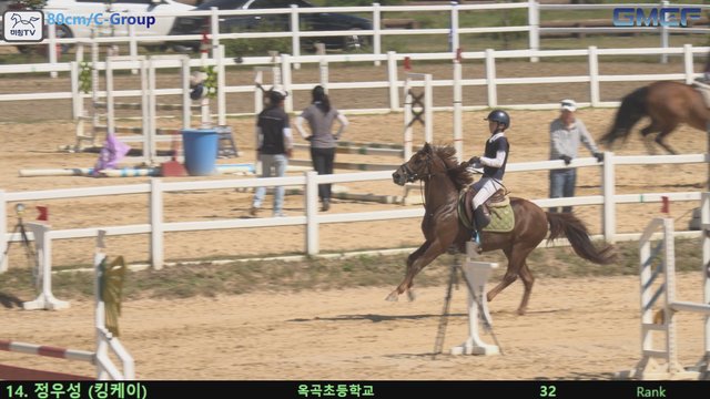 정우성1 (청초호) — 2026 경북오픈 구미 Show Jumping · 장애물 80cm