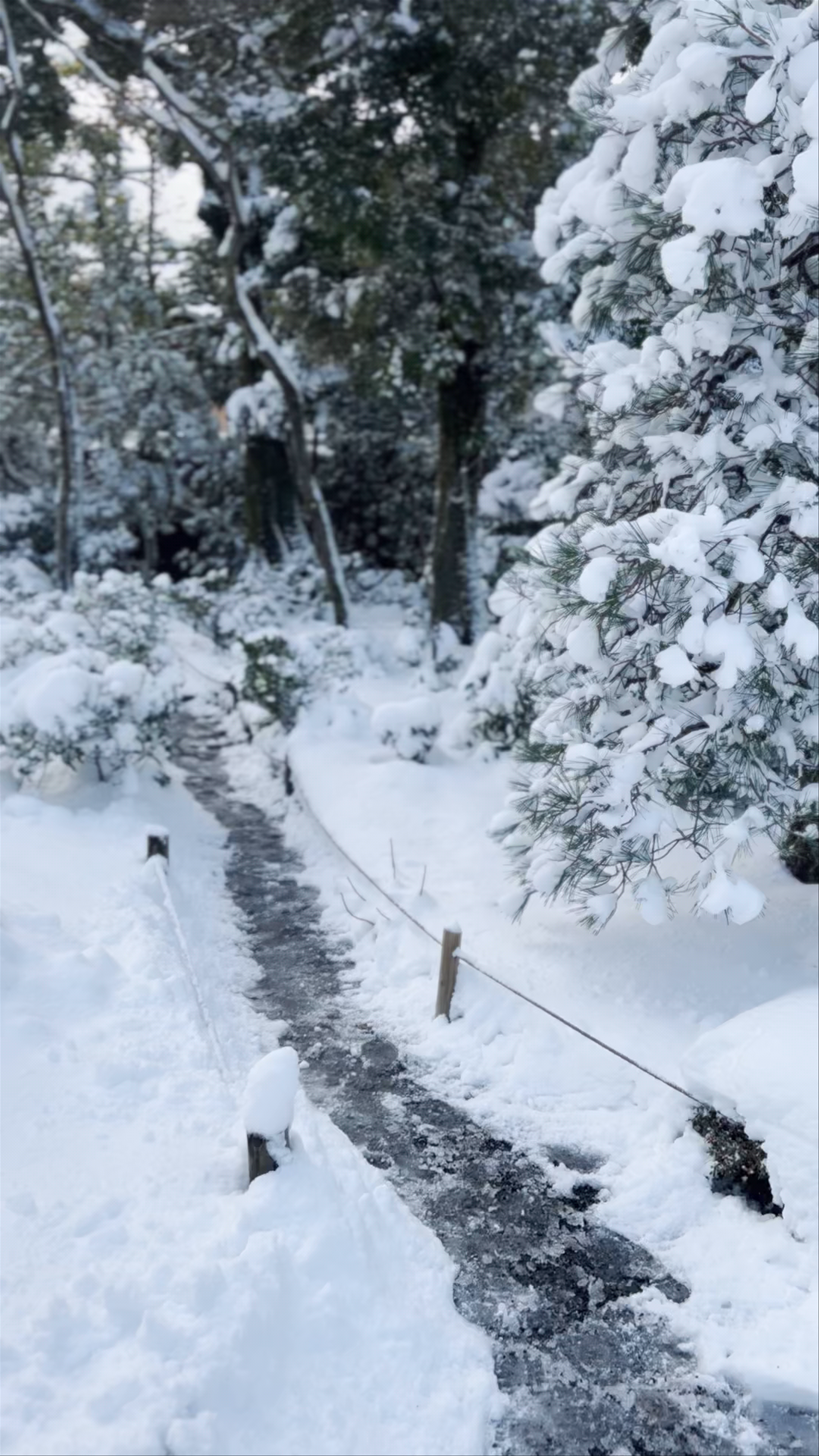 Winter Serenity at Murin-an Garden, Kyoto
