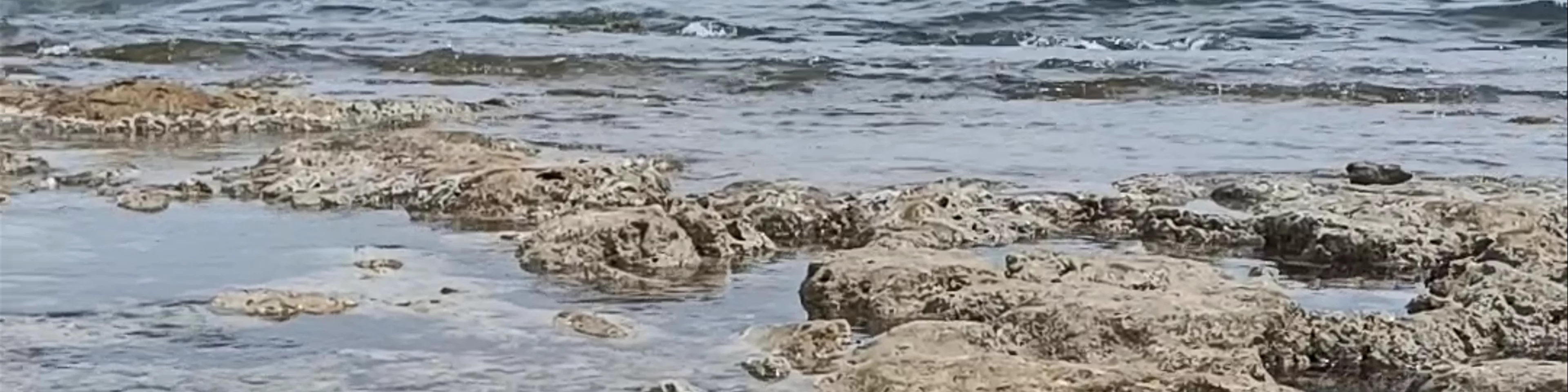 Playa del Mojón