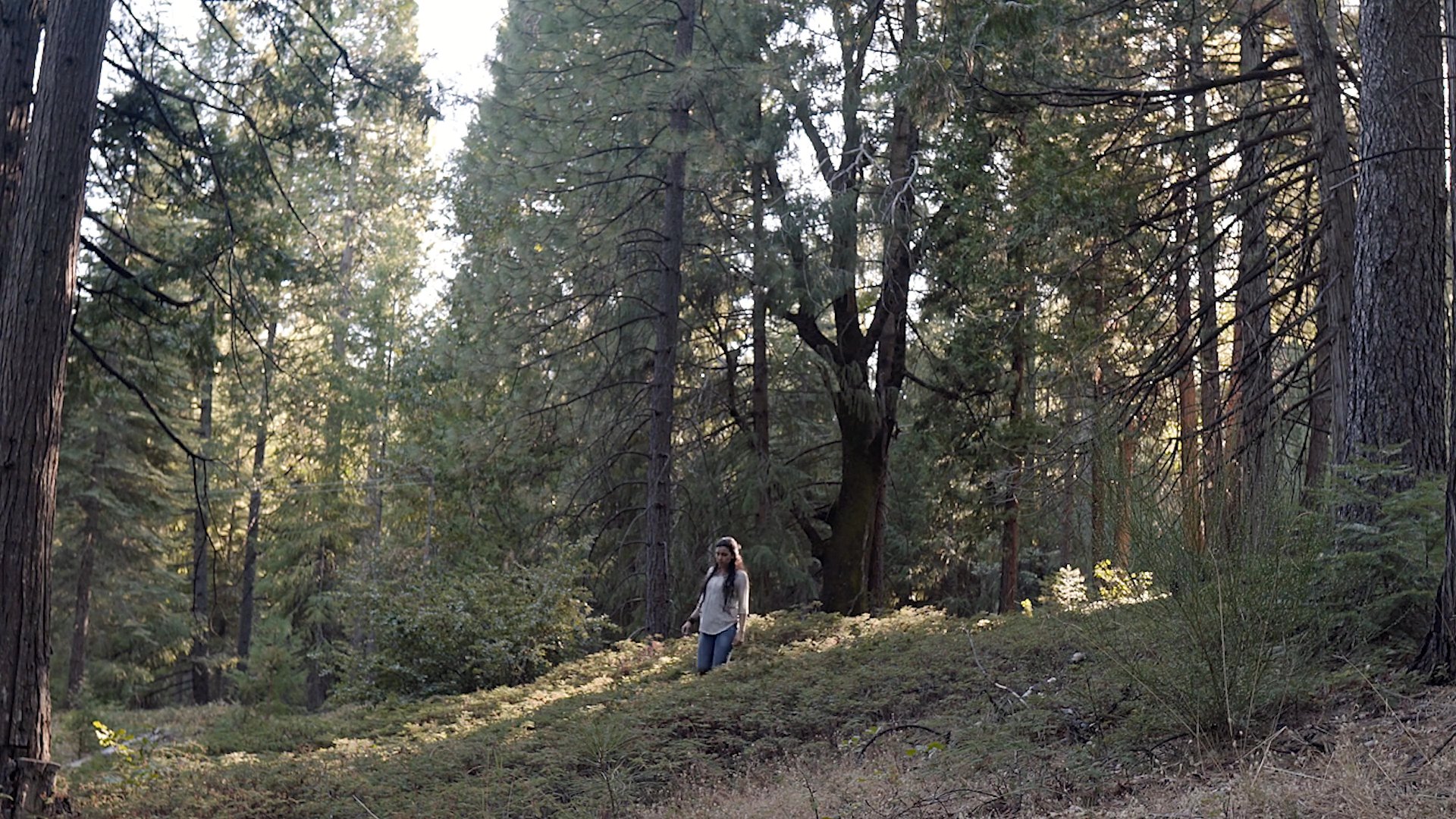 Scene 5