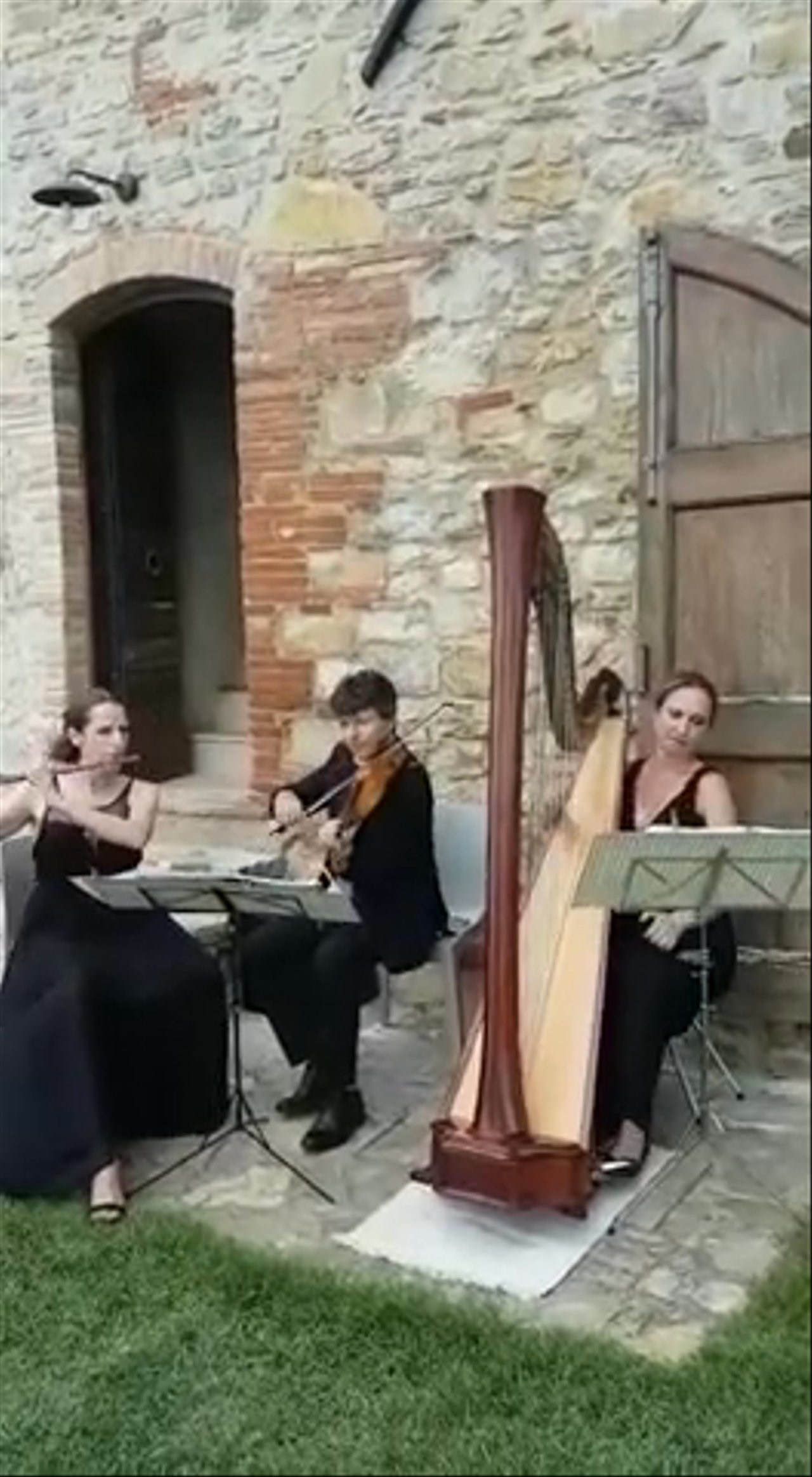 Flute, Harp & Violin Trio - River Flows - video