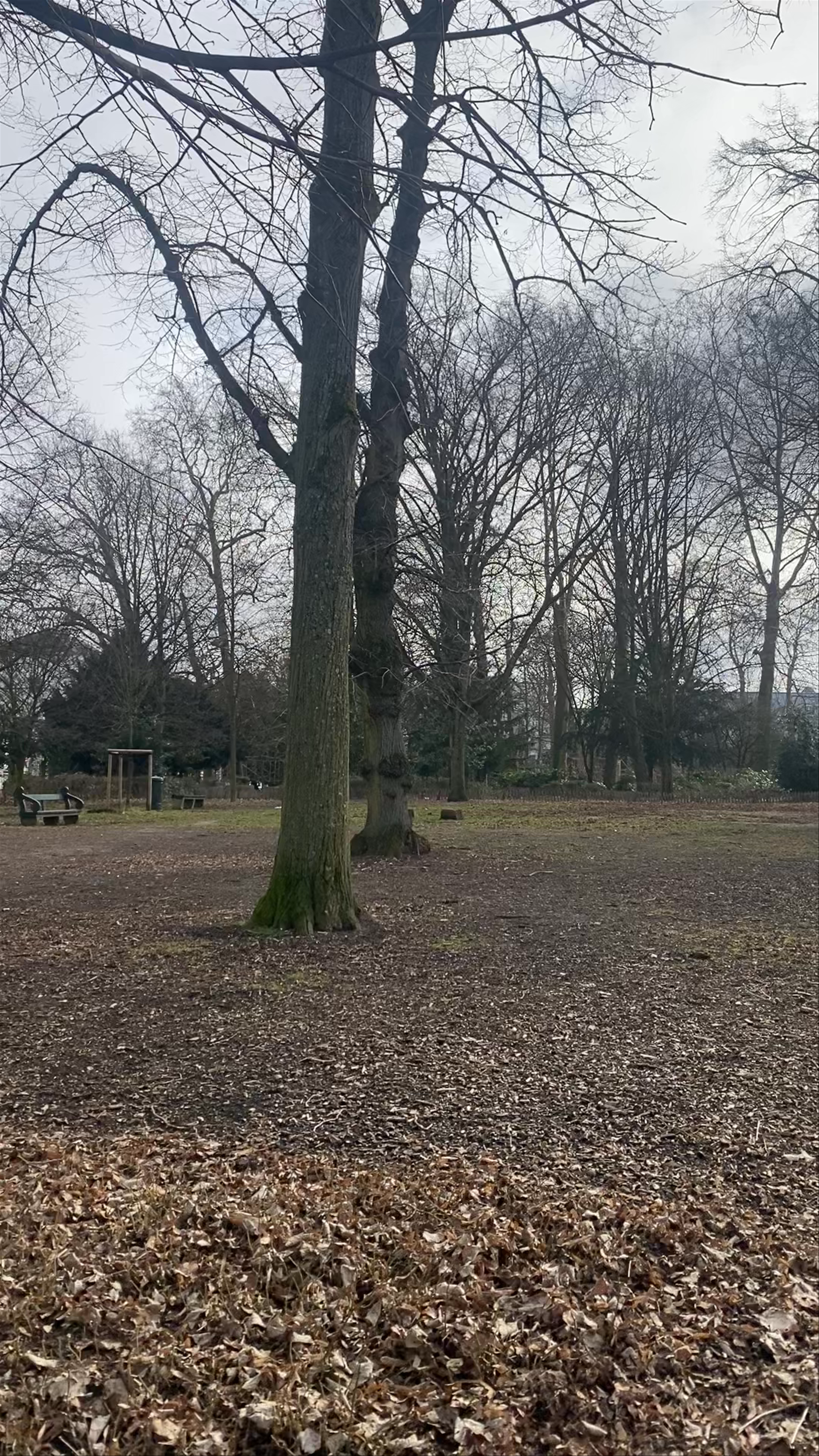 Brussels Park