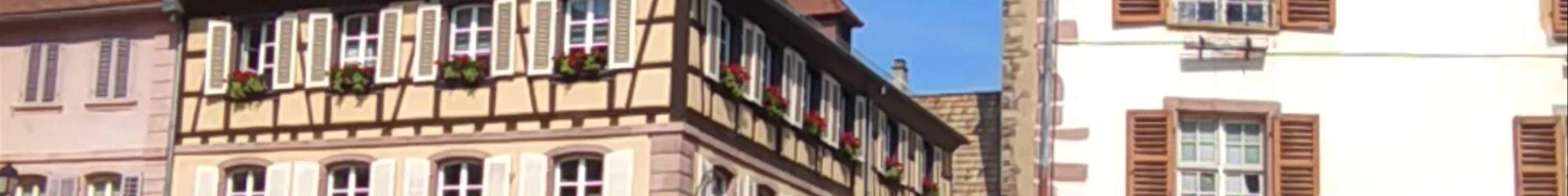 Tours & experiences in Ribeauvillé