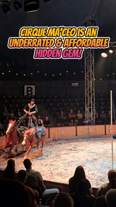 Cirque Ma'Ceo - The quick highlights of Cirque Ma'ceo - Venues & Event Spaces Near Me - Lutz, Florida