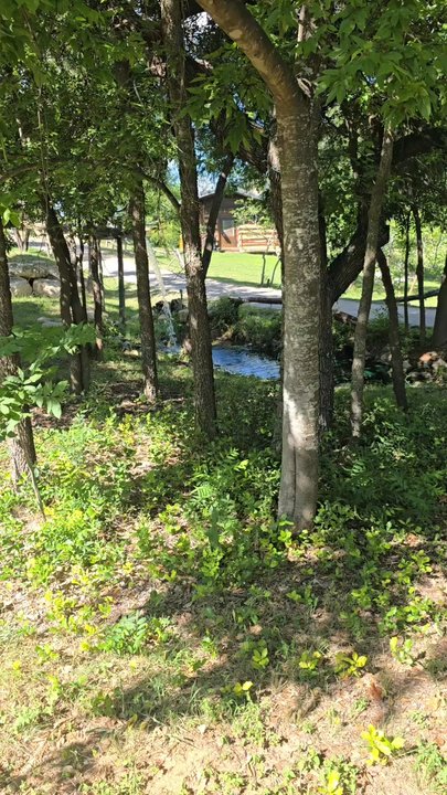 Barons CreekSide - Beautiful waterfall outside of the cabin -- peaceful to hear during the day and at night - Guest Houses Near Me - Fredericksburg, Texas