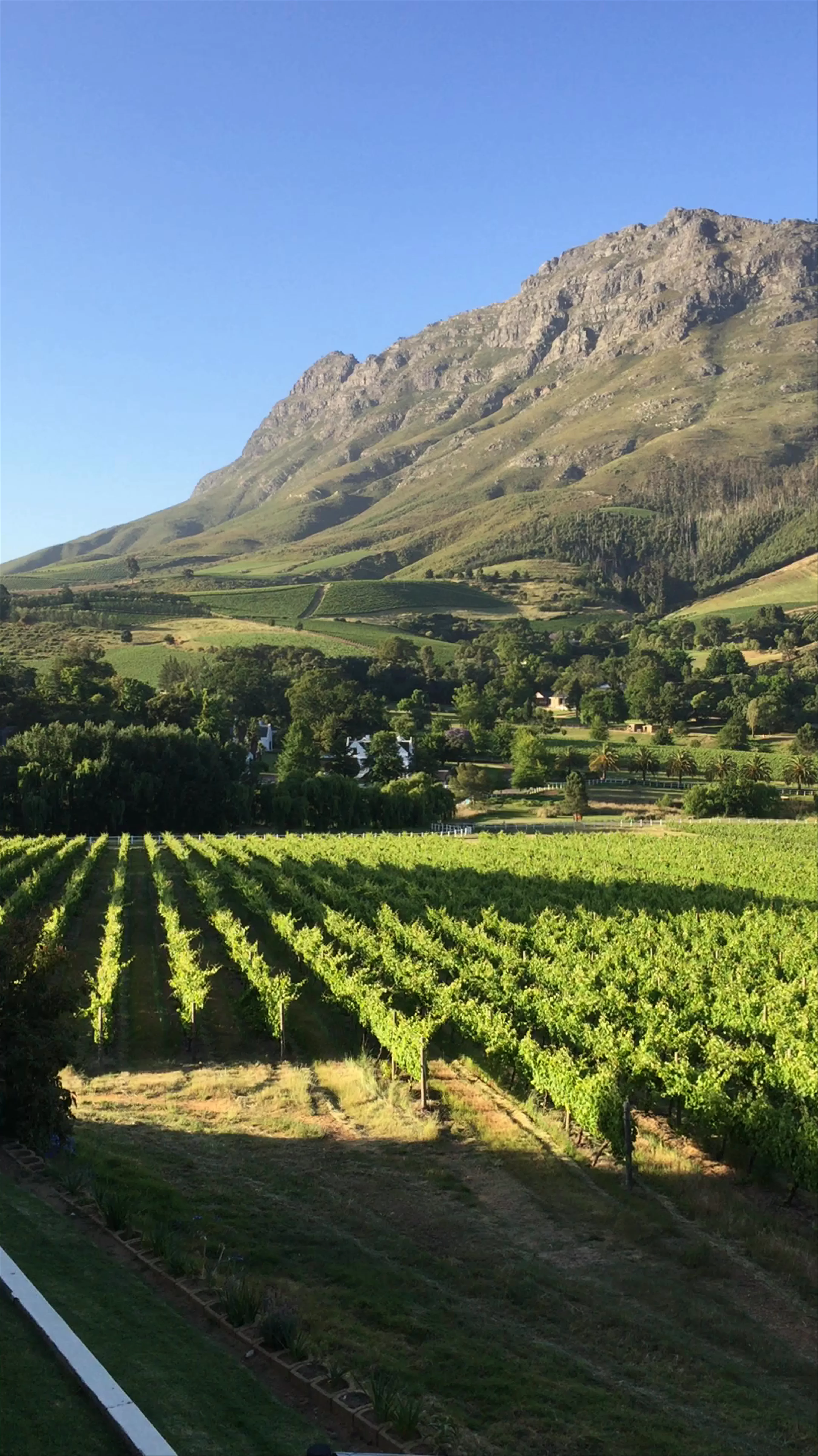 Stellenbosch