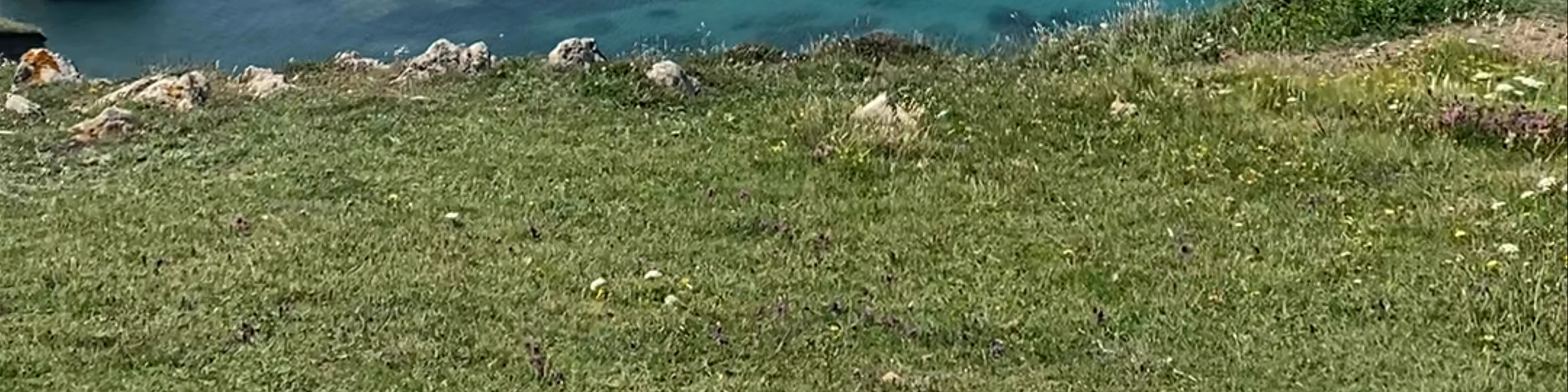 Kynance Cove