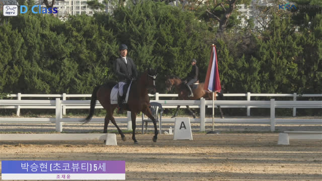 박승현 (초코뷰티) — 2026년 은퇴경주마 품평회 및 승마대회 결승 · 마장마술 D1 Class