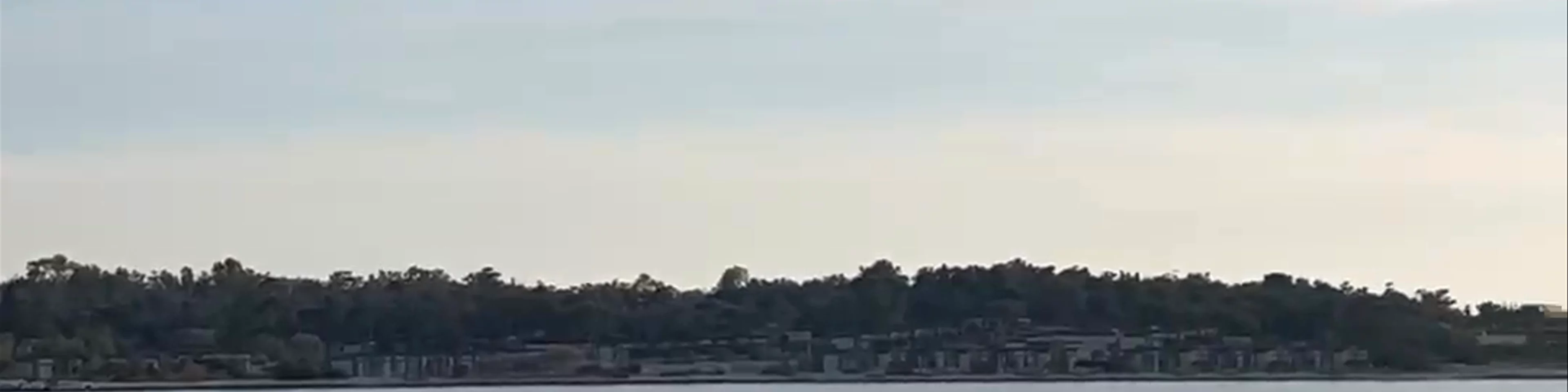 Ark