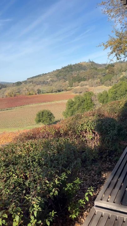 Joseph Phelps Vineyards - Joseph Phelps vineyards - Wineries Near Me - Saint Helena, California