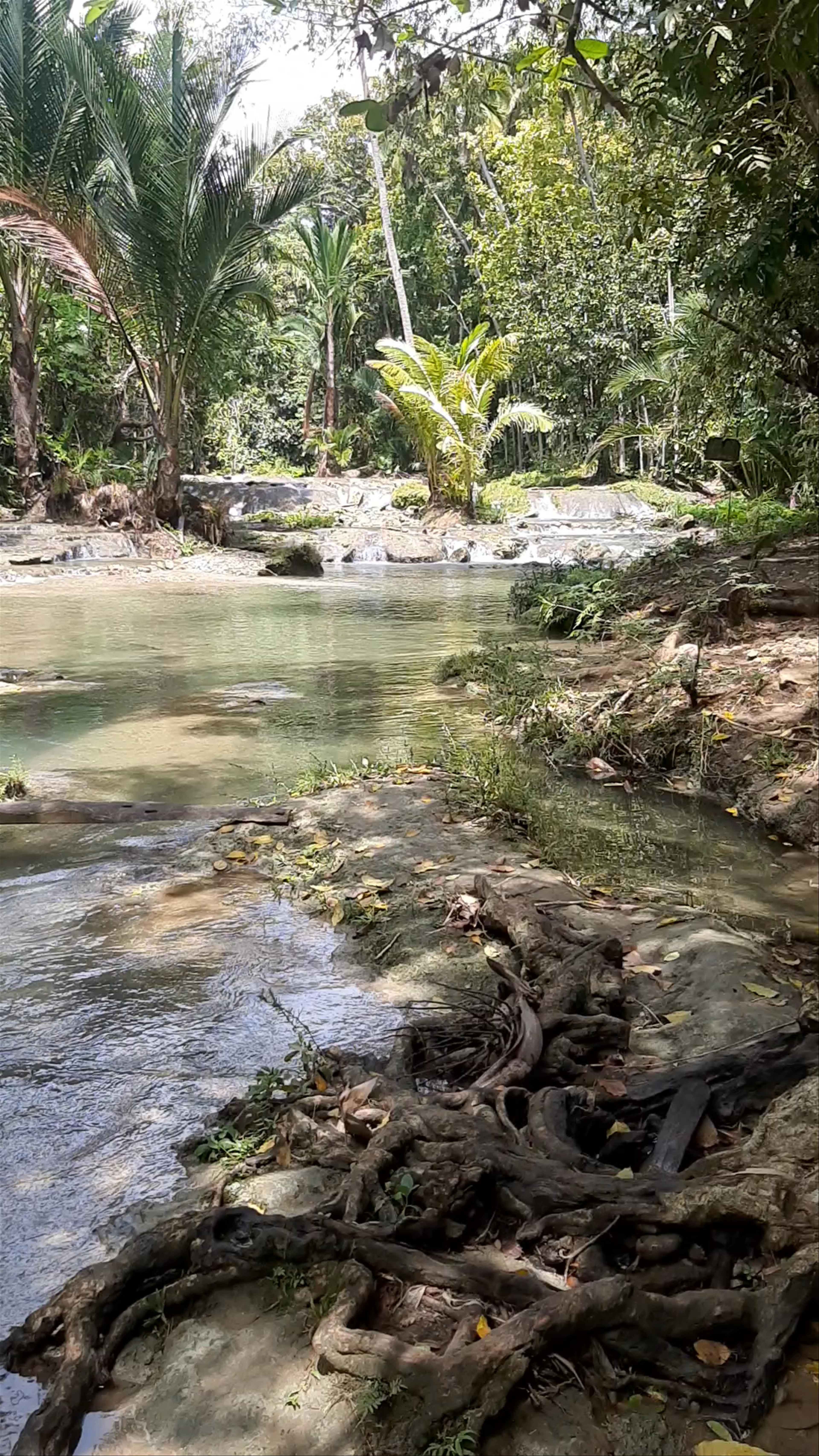 Cambugahay Falls: Tropical Paradise in Siquijor, Philippines