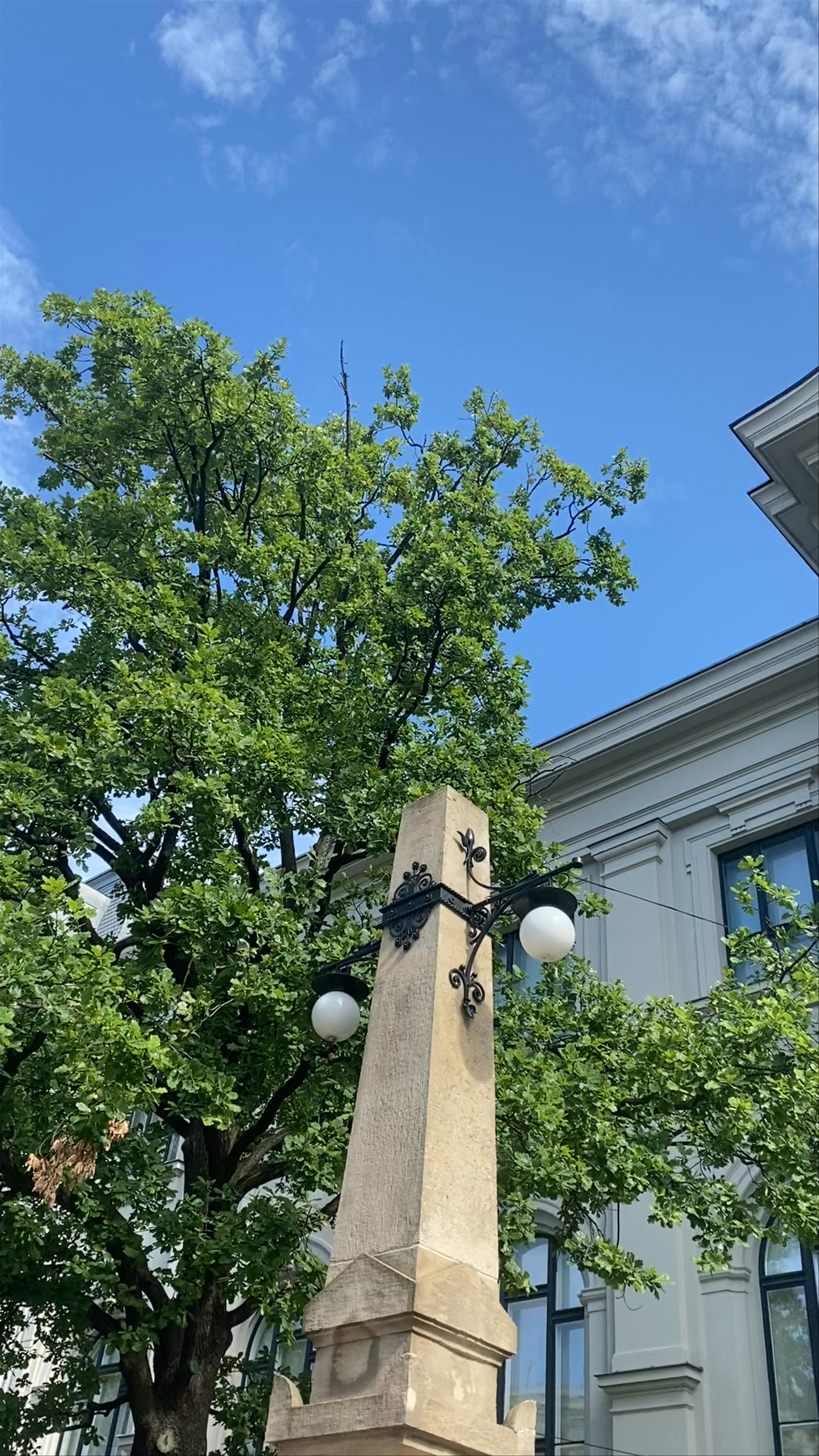 National Art Museum of Latvia — A Sunlit Architectural Gem in Riga
