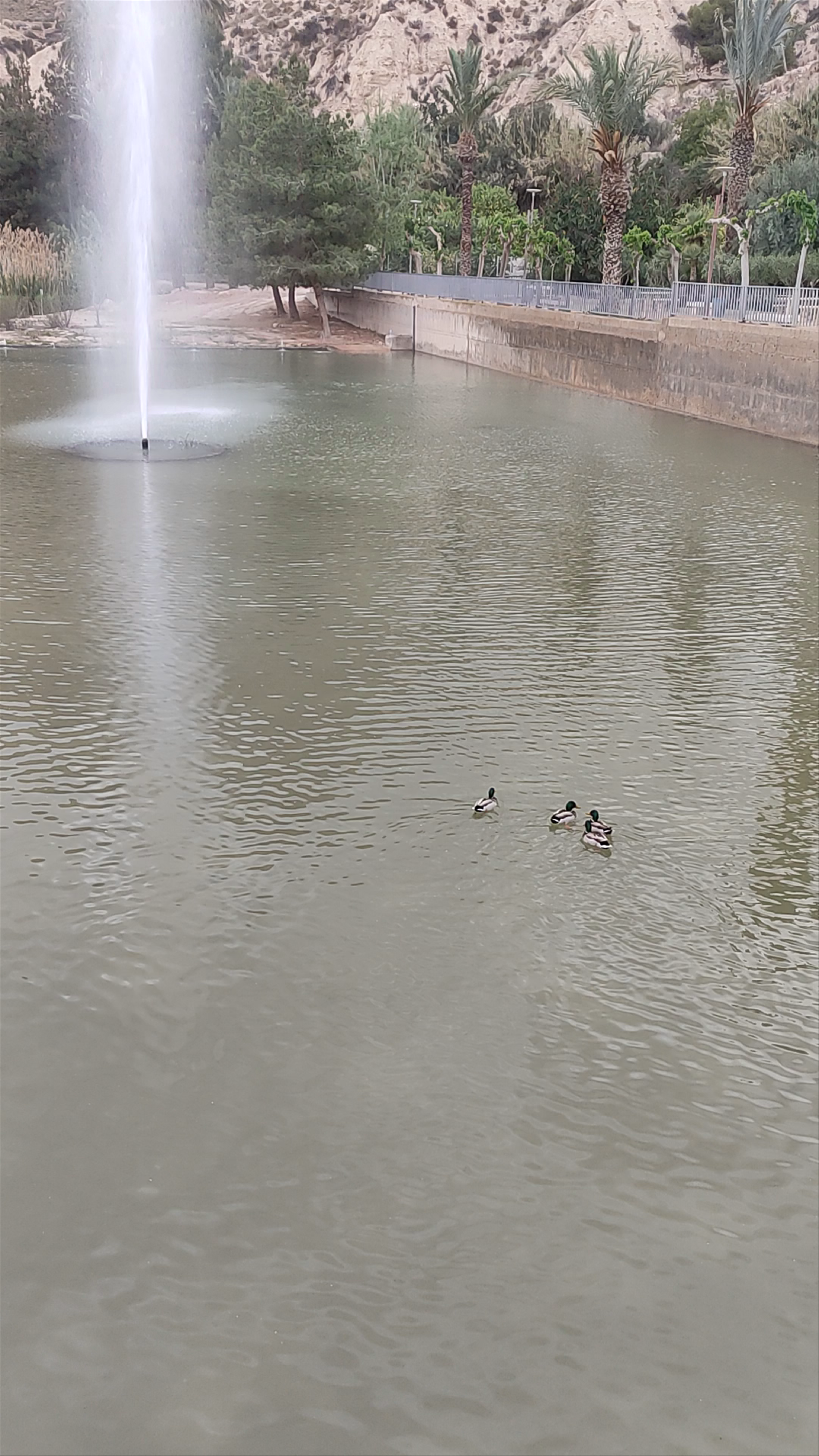 Fuente El chorro