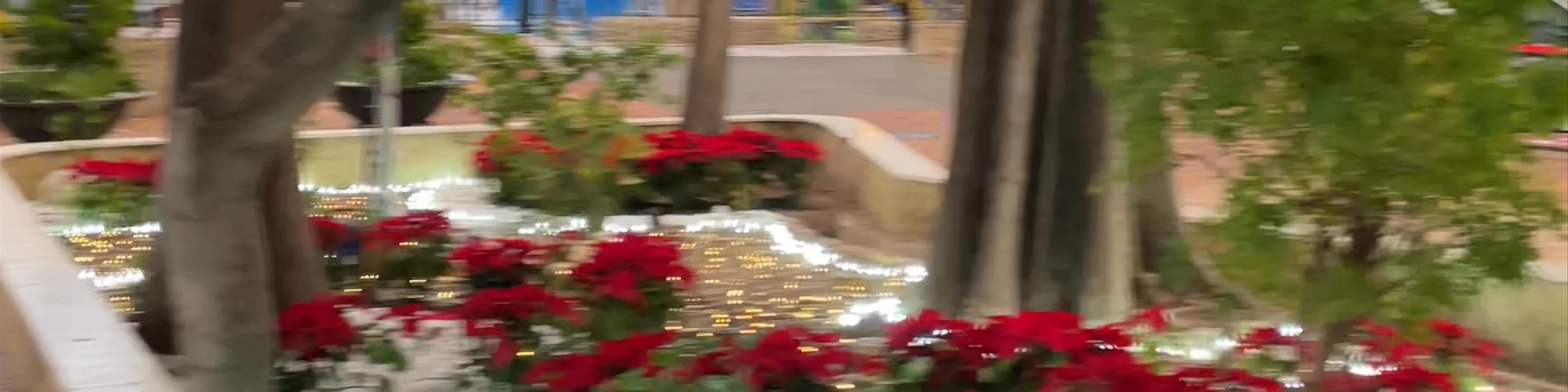 Jardín de Villa Rías