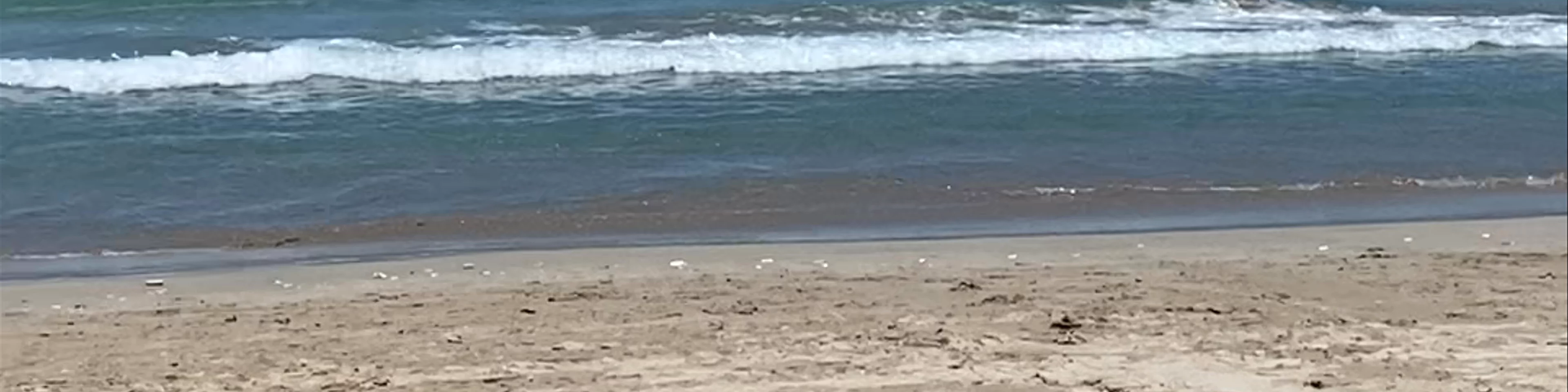 Kaunaʻoa (Mauna Kea) Beach