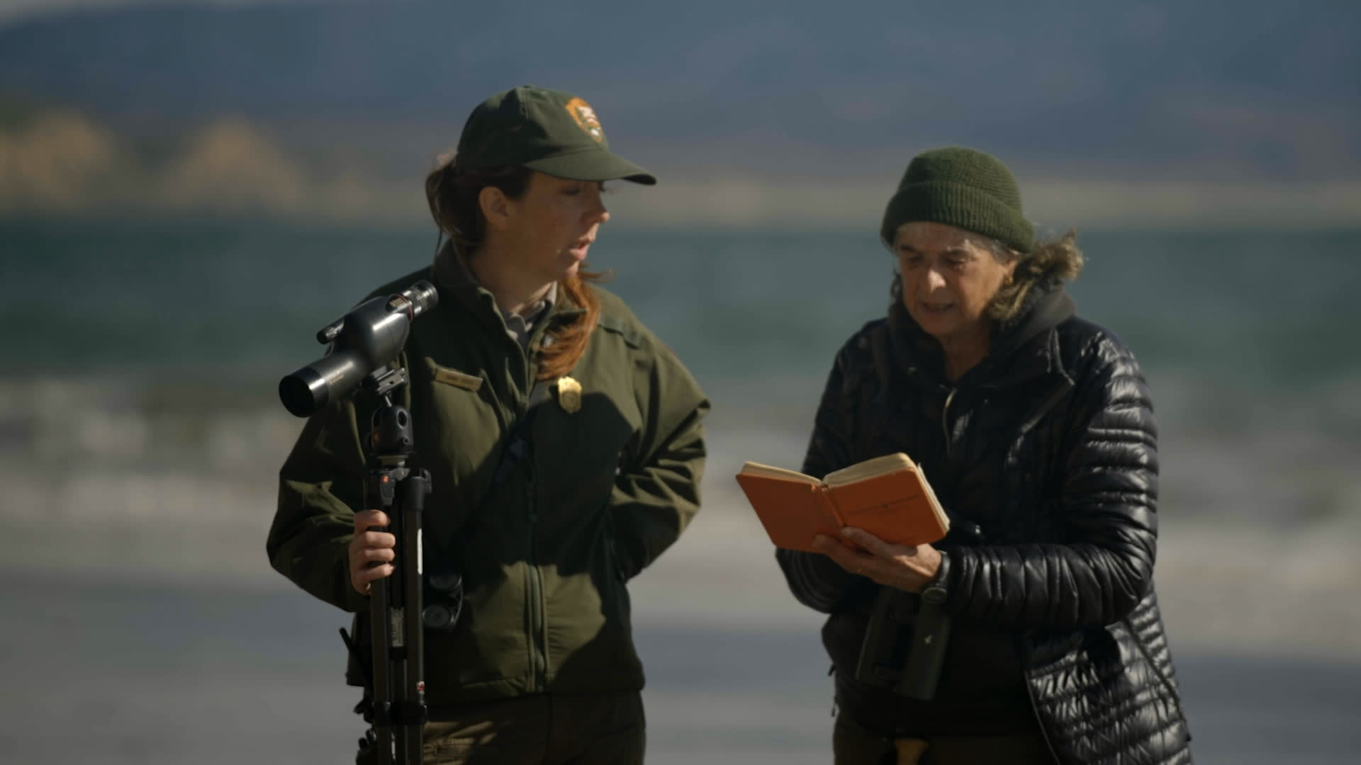 Researchers discuss numbered flipper tags and monitor seals along a coastal beach, with a field researcher walking near resting elephant seals. A researcher describes how an internship and meeting Dr. Sarah Allen inspired her interest in seal research.