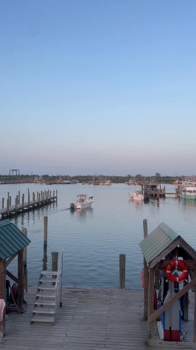 Crawgators Bar and Grill - Dog on a boat! - Seafood Near Me - Venice, Louisiana