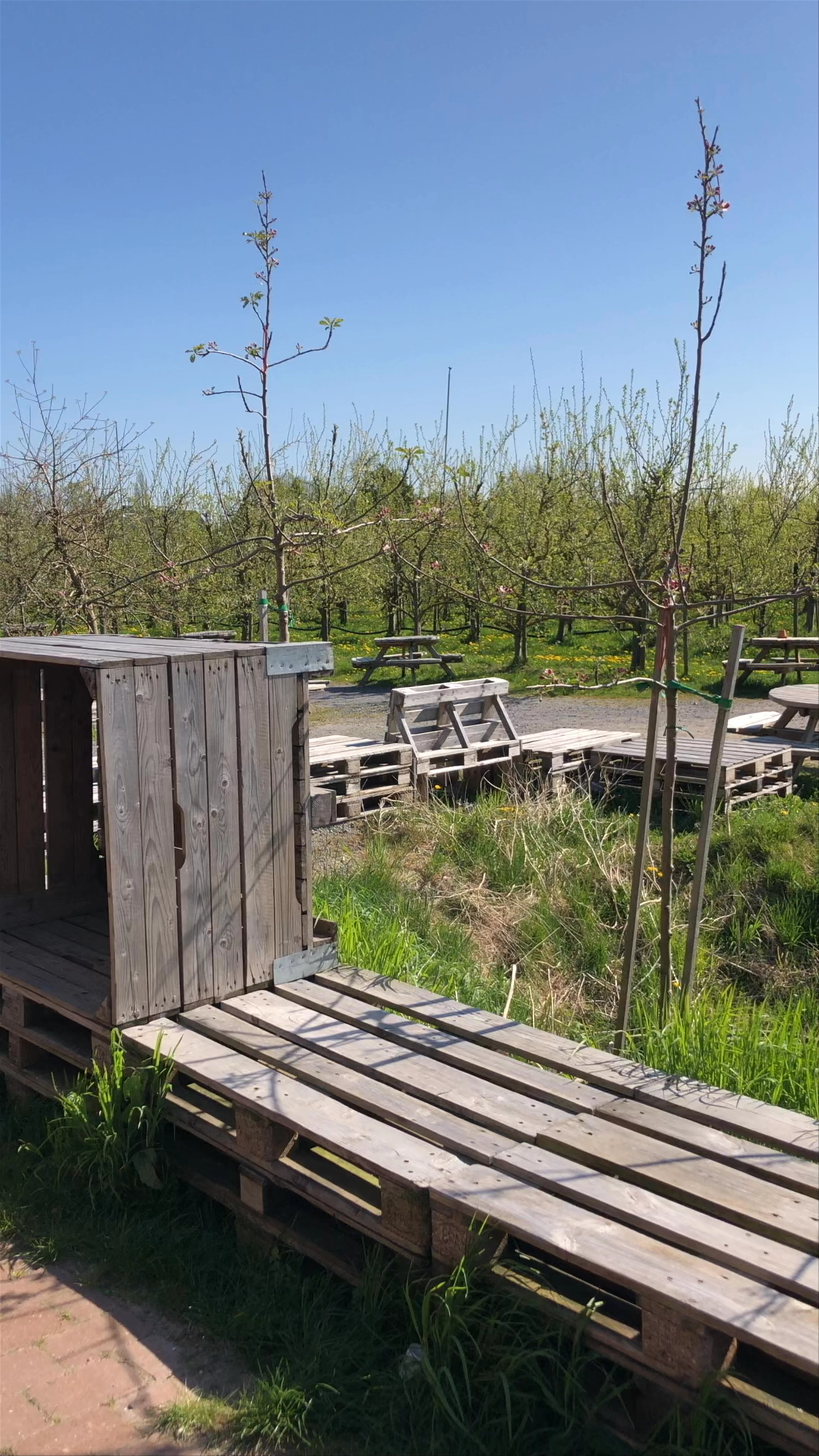 Herz-Apfel-Garten