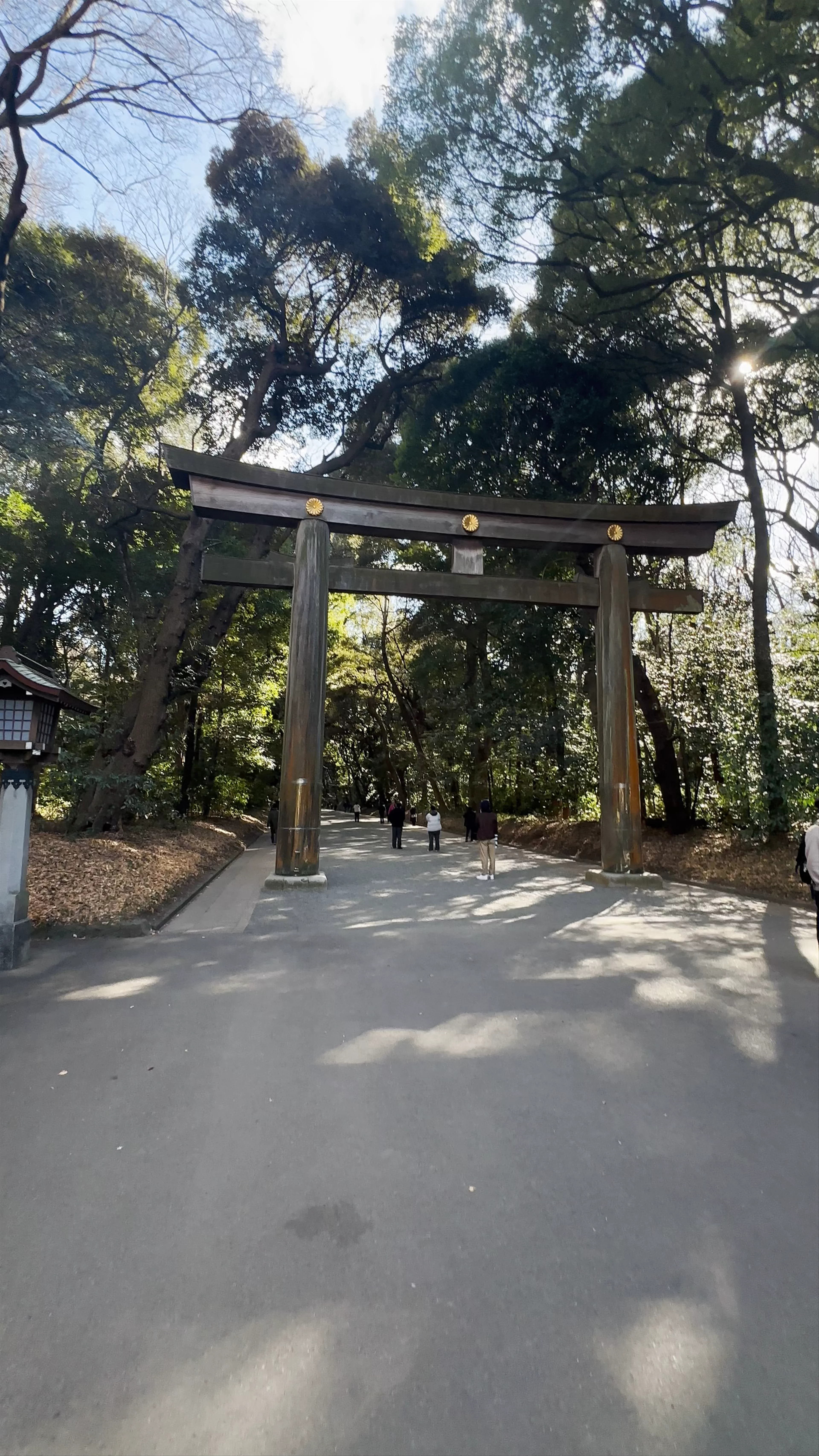 Santuario Meiji, 1-1 Yoyogikamizonocho, Shibuya, Tokyo, Japan