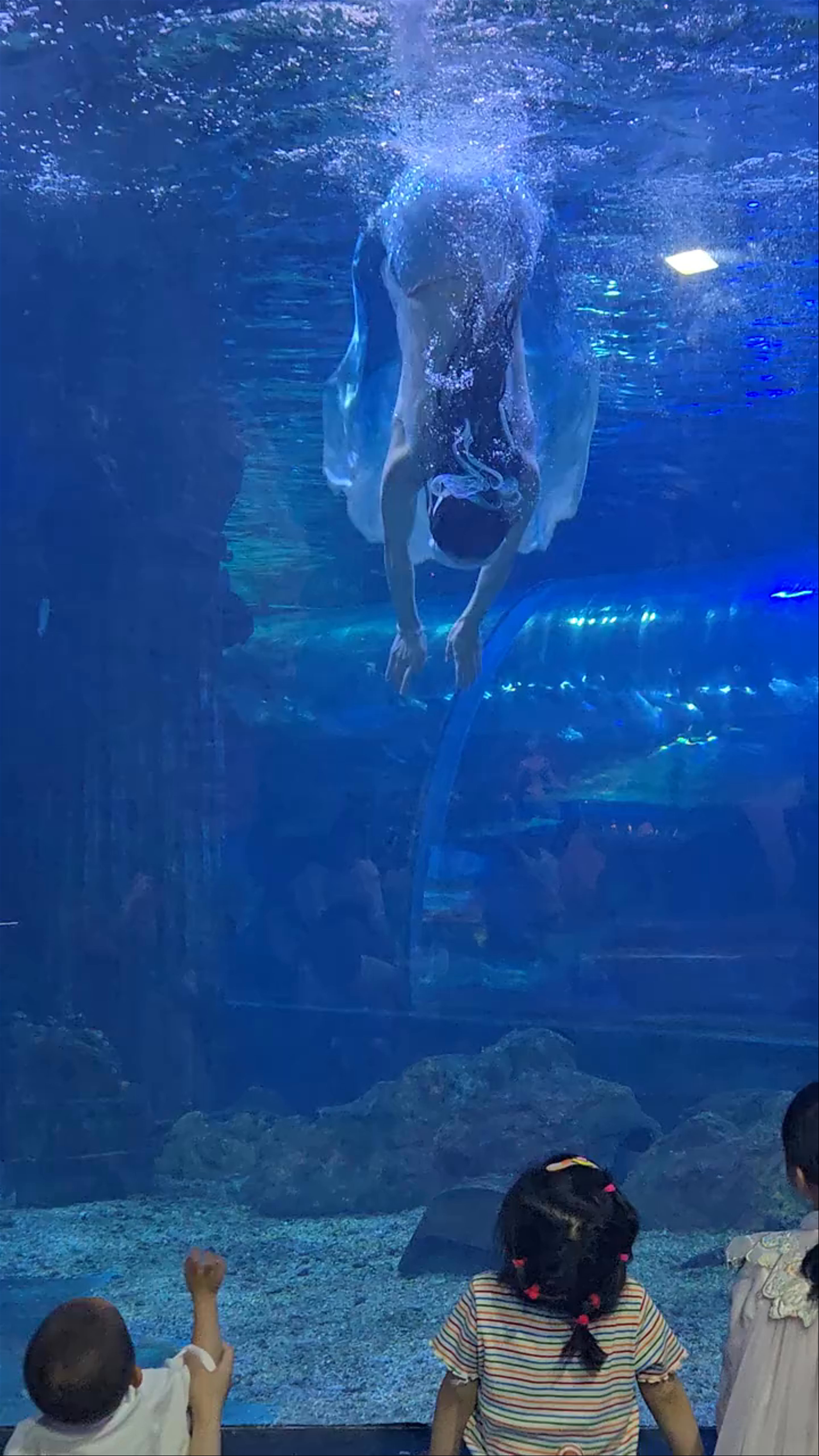 Chimelong Ocean Kingdom