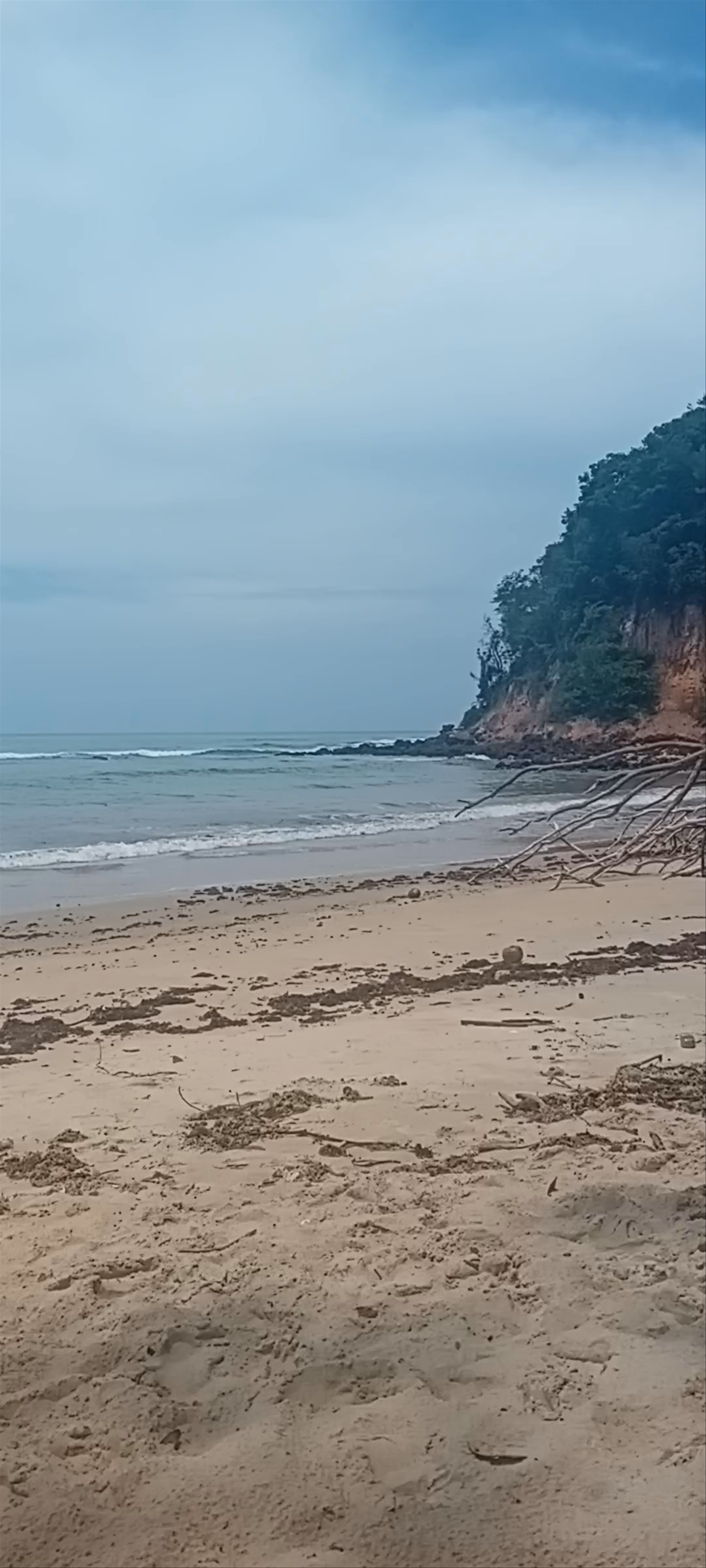 PRAIA DOS GOLFINHOS - Canasvieiras