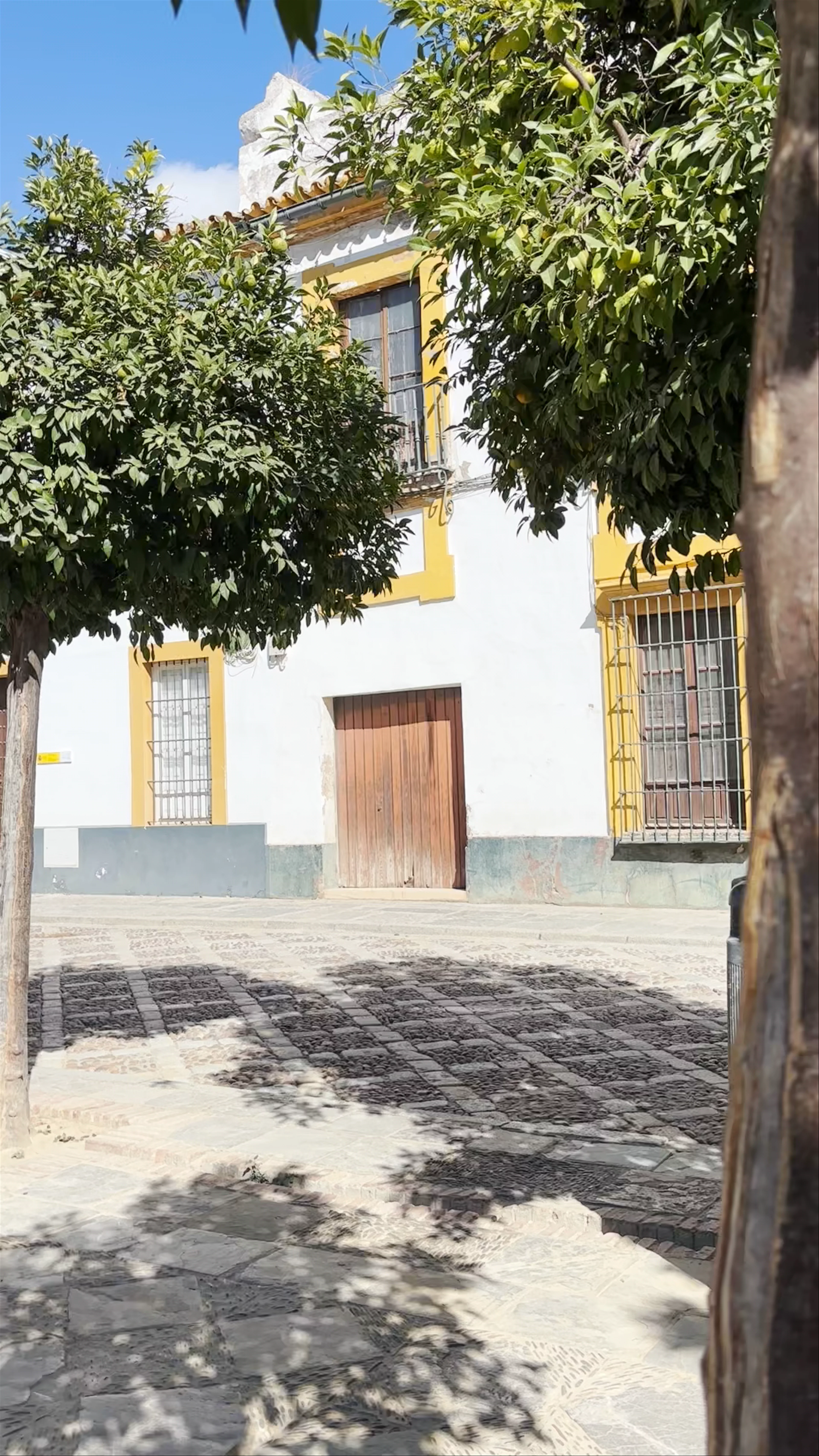 Patio de Banderas