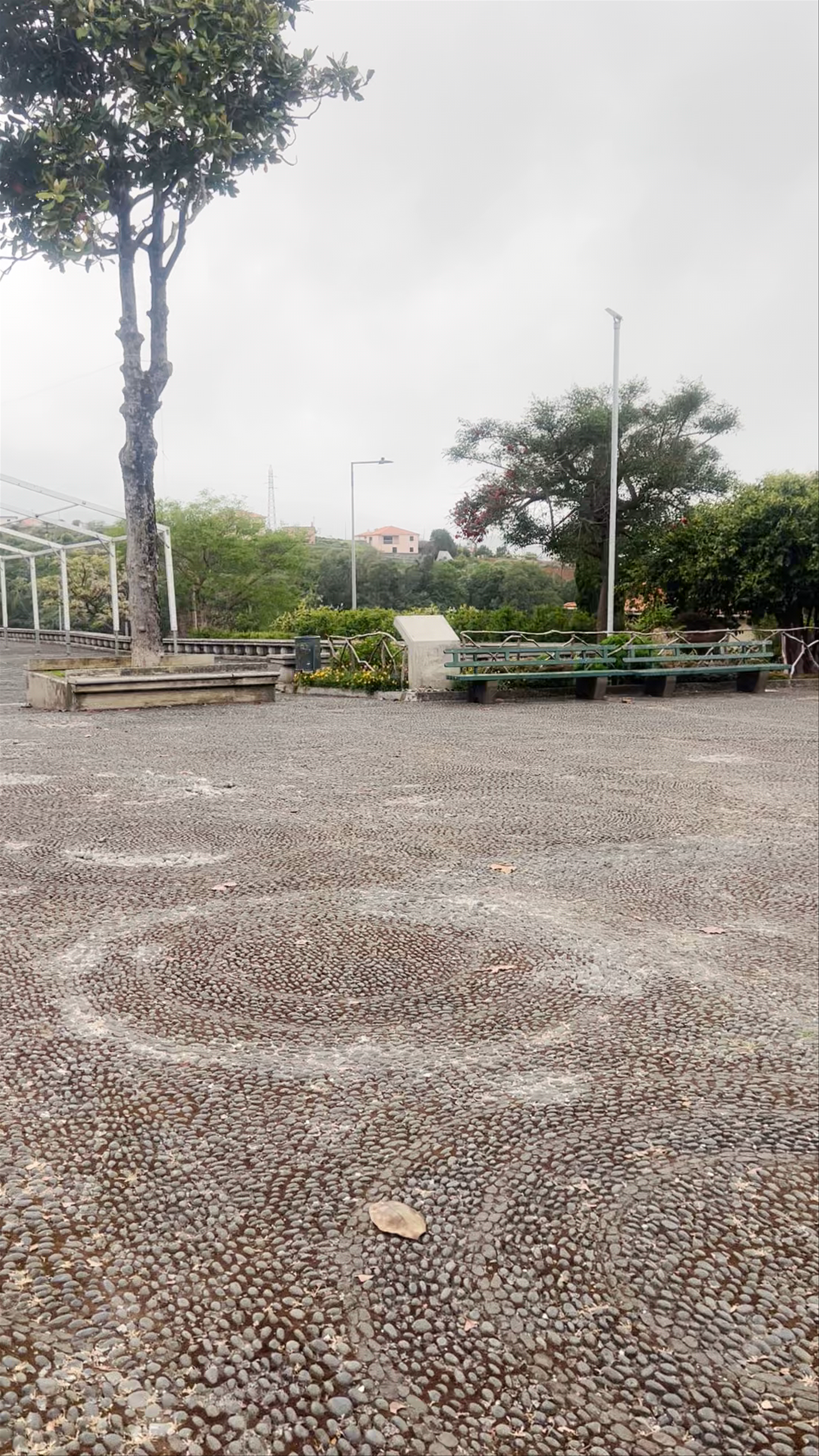 Morning Market Scene at Praça de Santana, Madeira