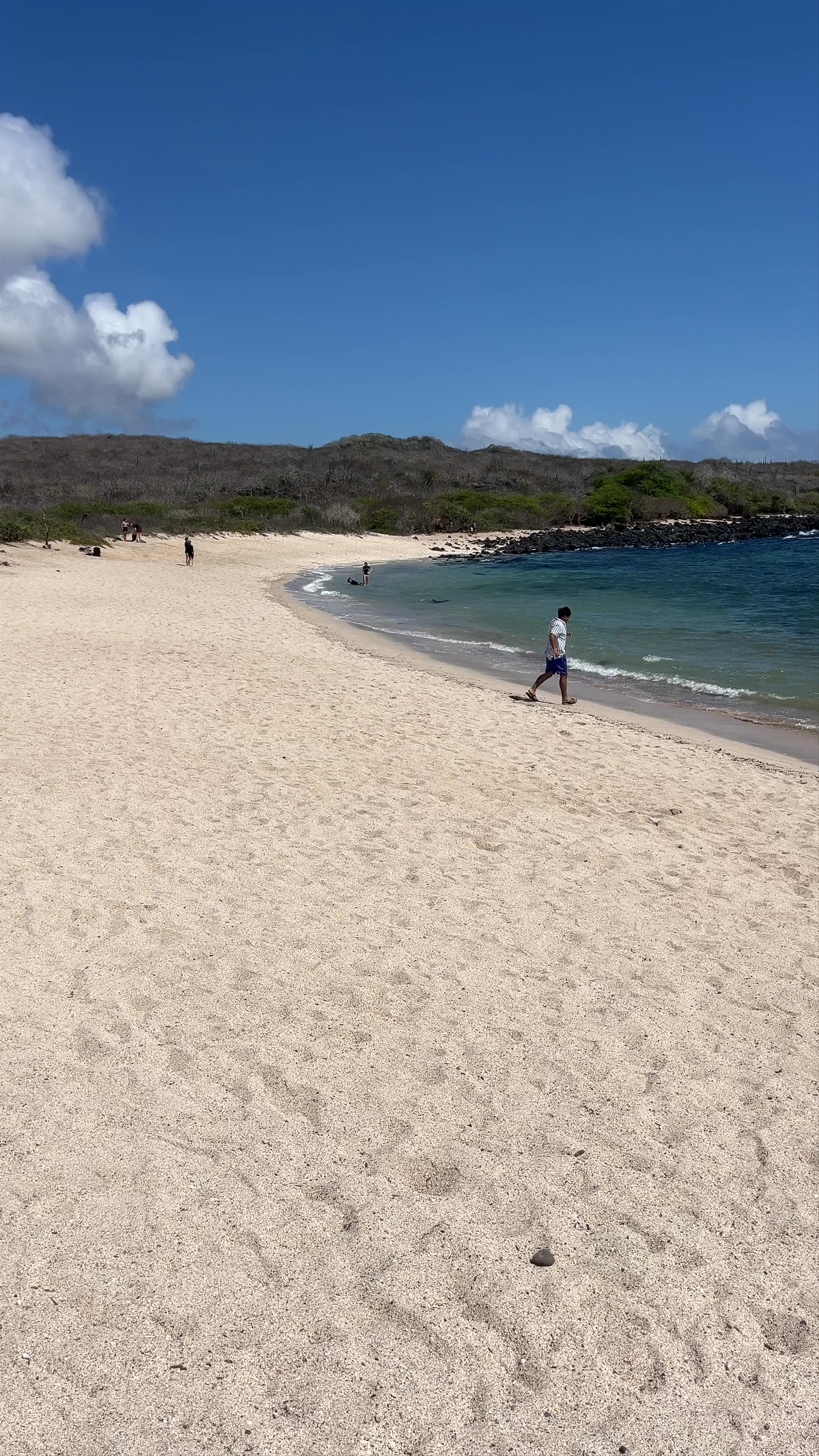Playa Lobería