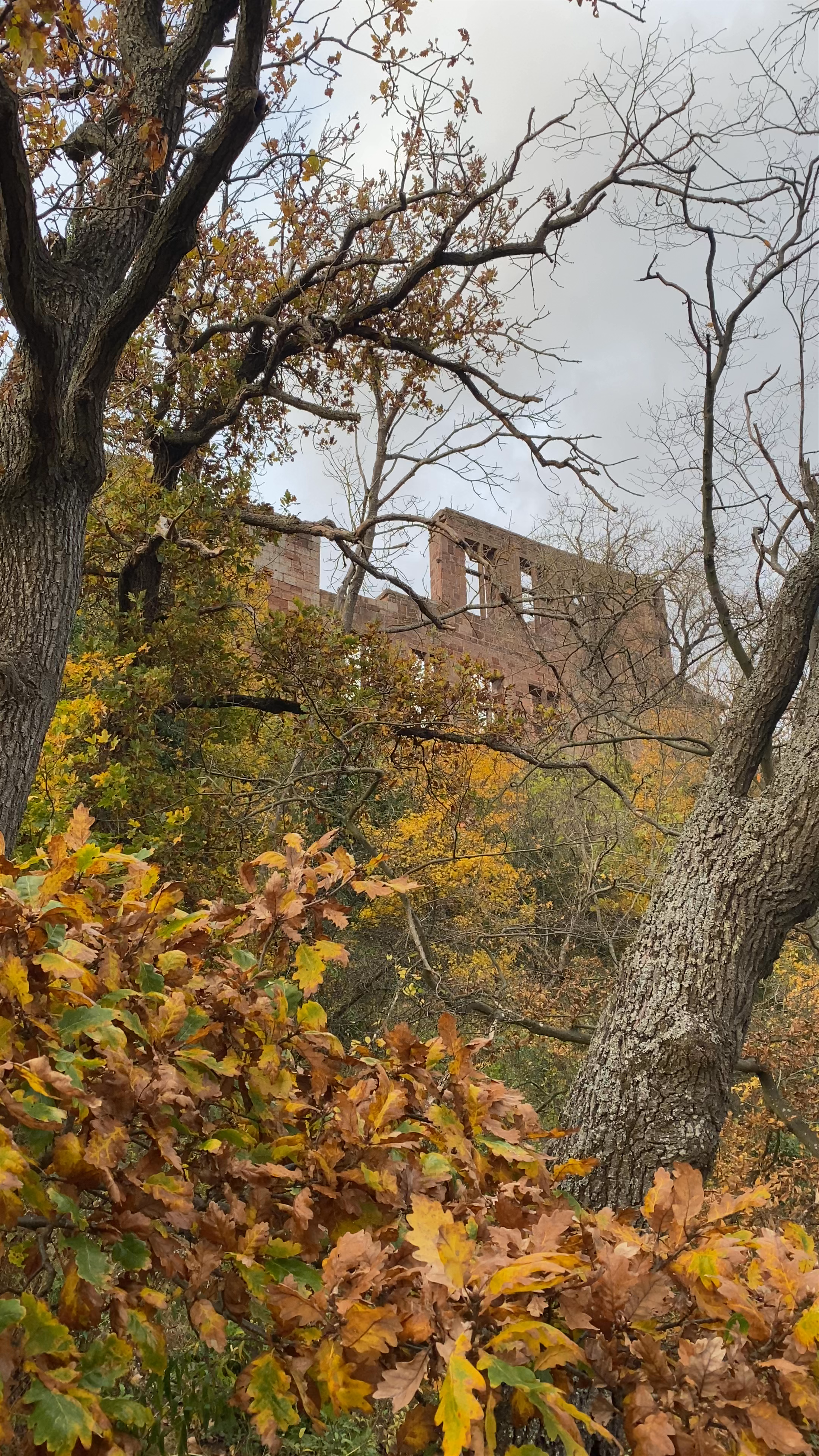 Bank am Gipfelkreuz Viewpoint