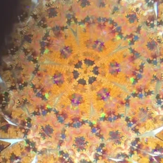 Small image 1