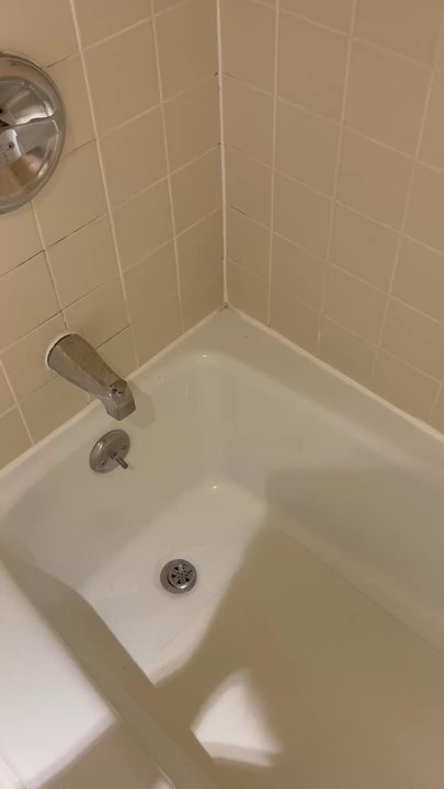 Campbell Inn - Ants crawling everywhere - Hotels Near Me - Campbell, California